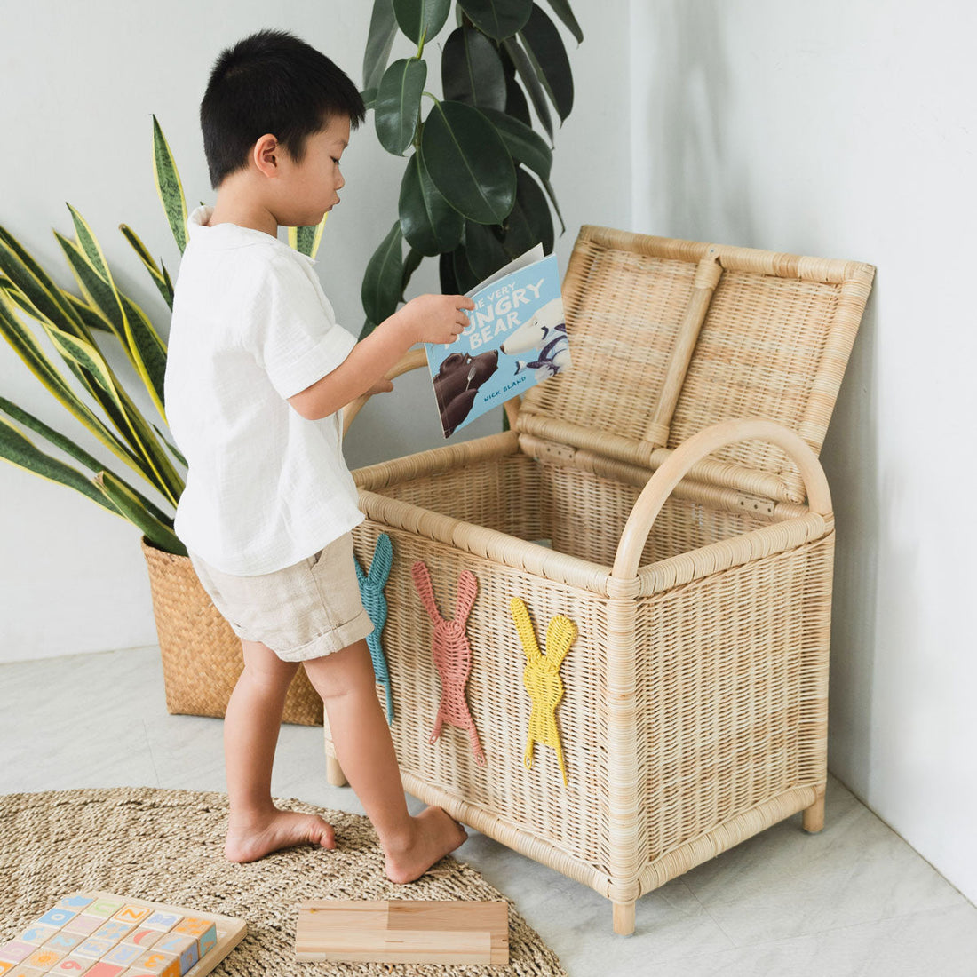 Toy Boxes & Chests
