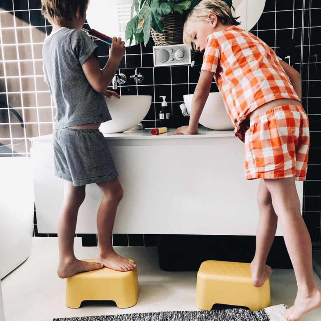 Montessori Step Stools