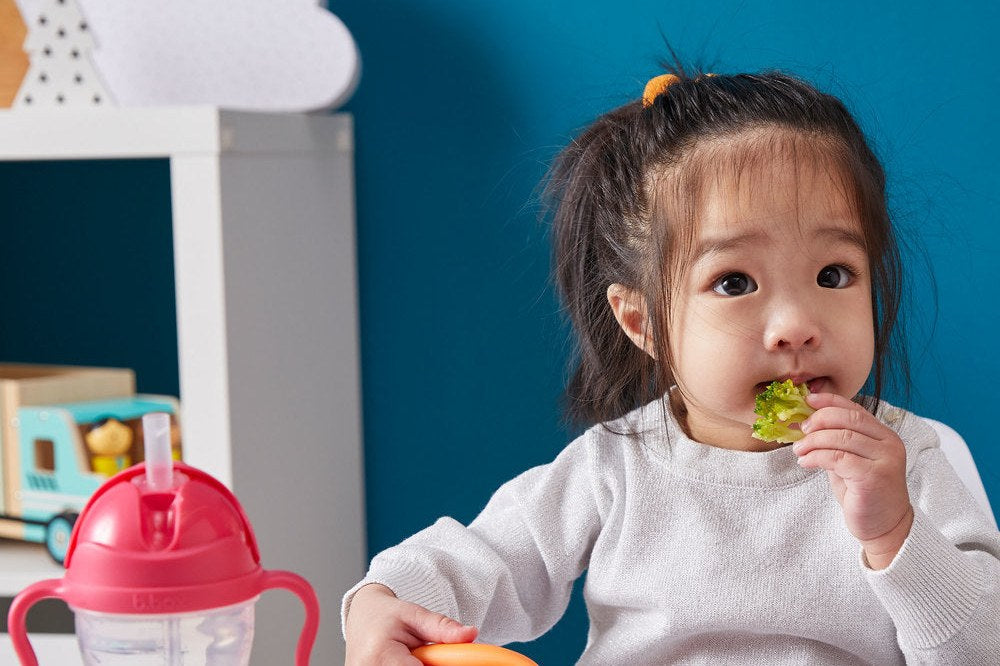 Toddler Mealtime Sets