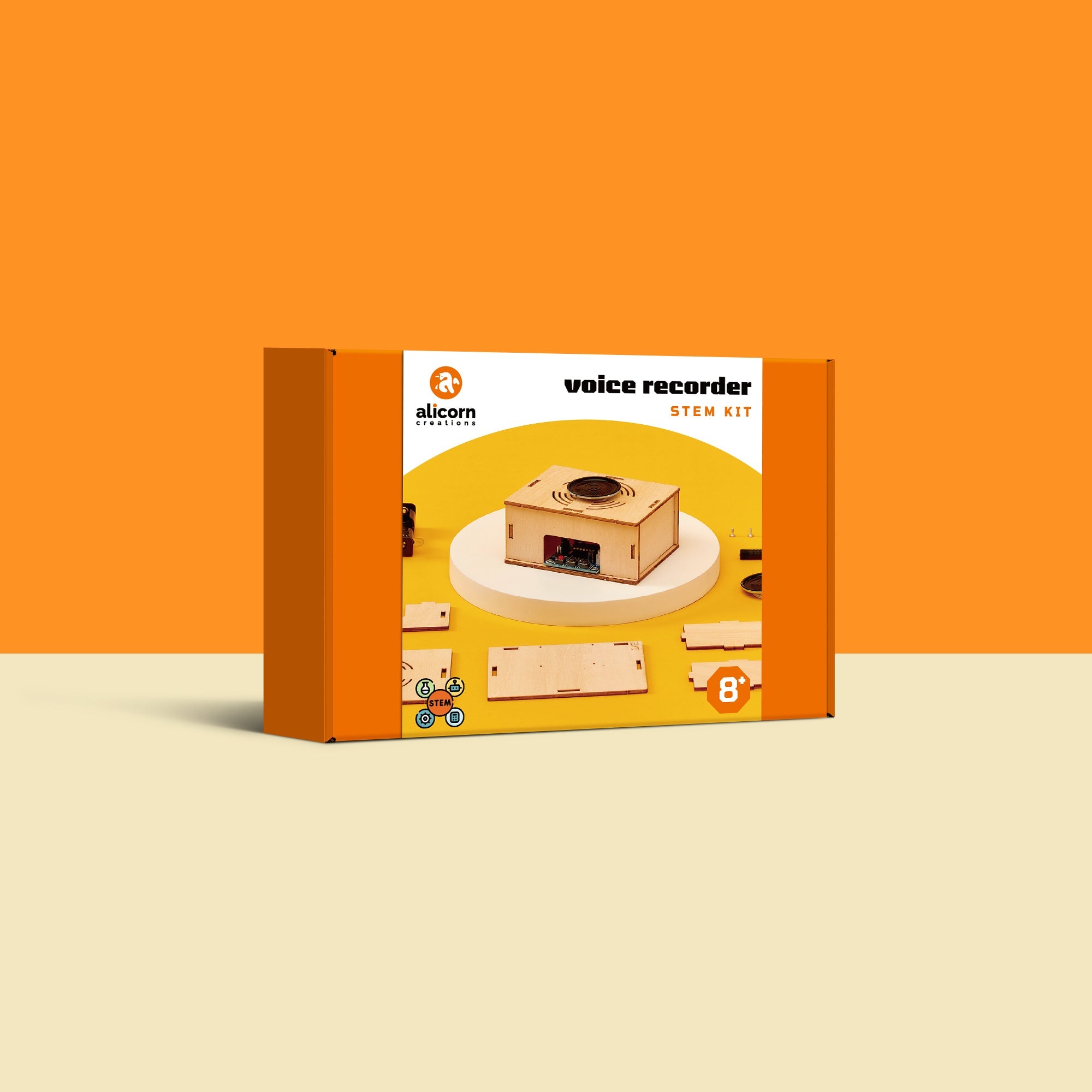 Voice Recorder Diy Kit, Educational Stem Toy