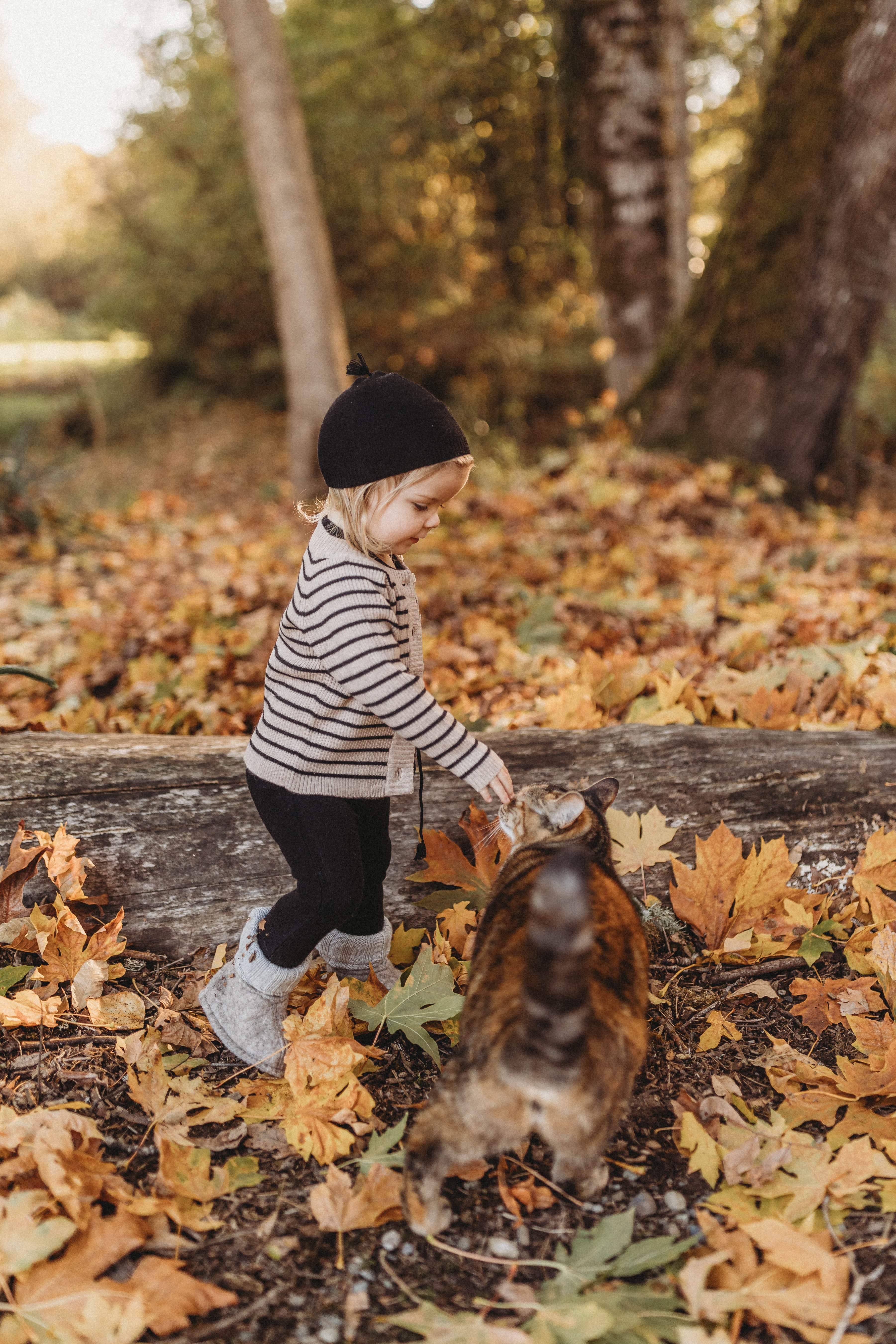 Cashmere Cardigan | Black/beige