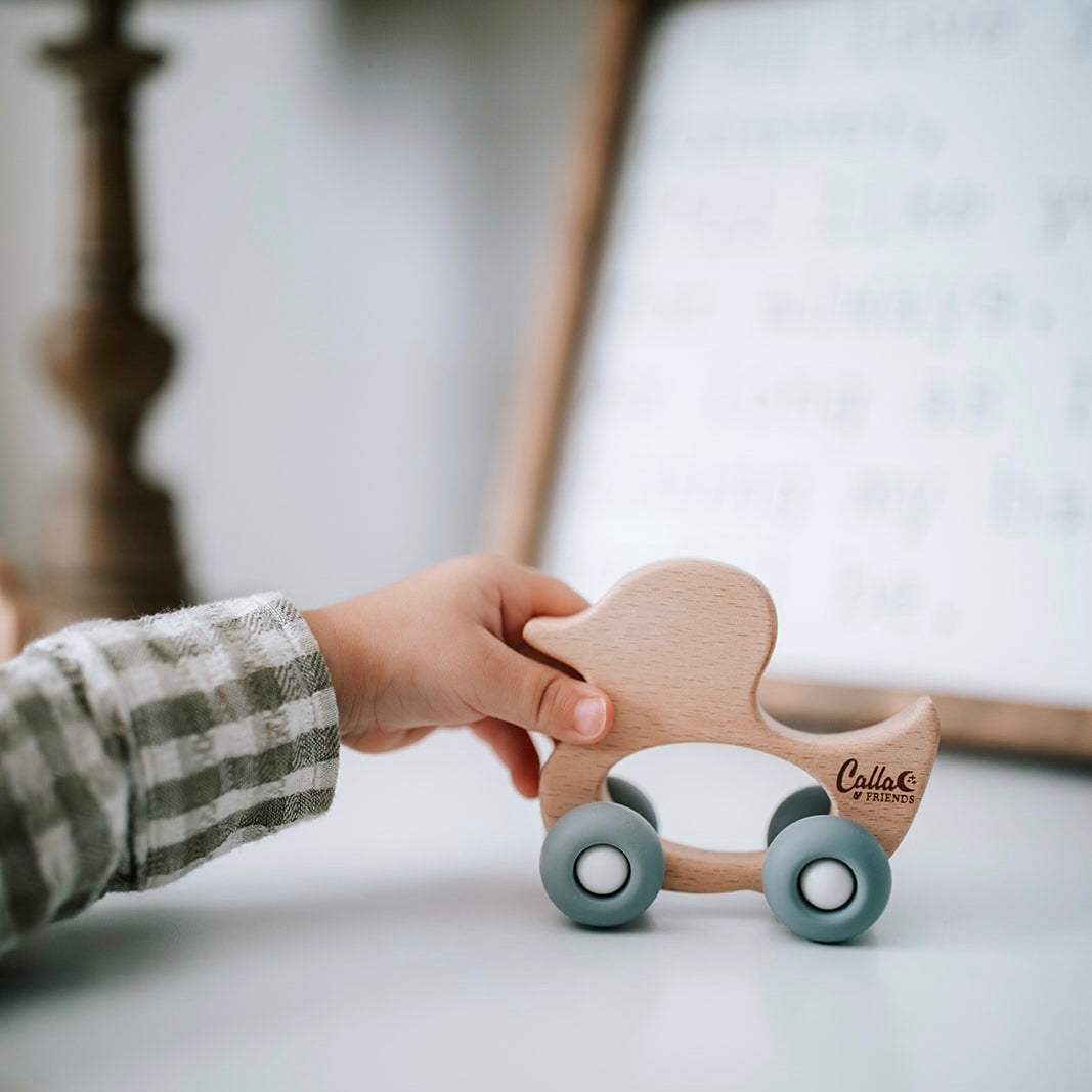 Beechwood Rollin’ Friends - Duck