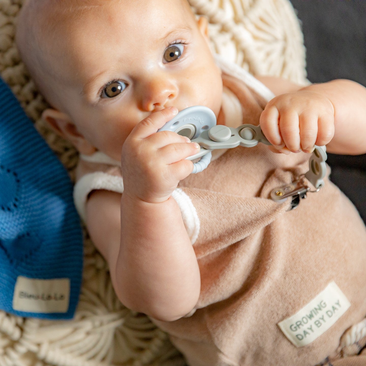 Halo Lulababe Pacifier Stage 2 By Bleu La La