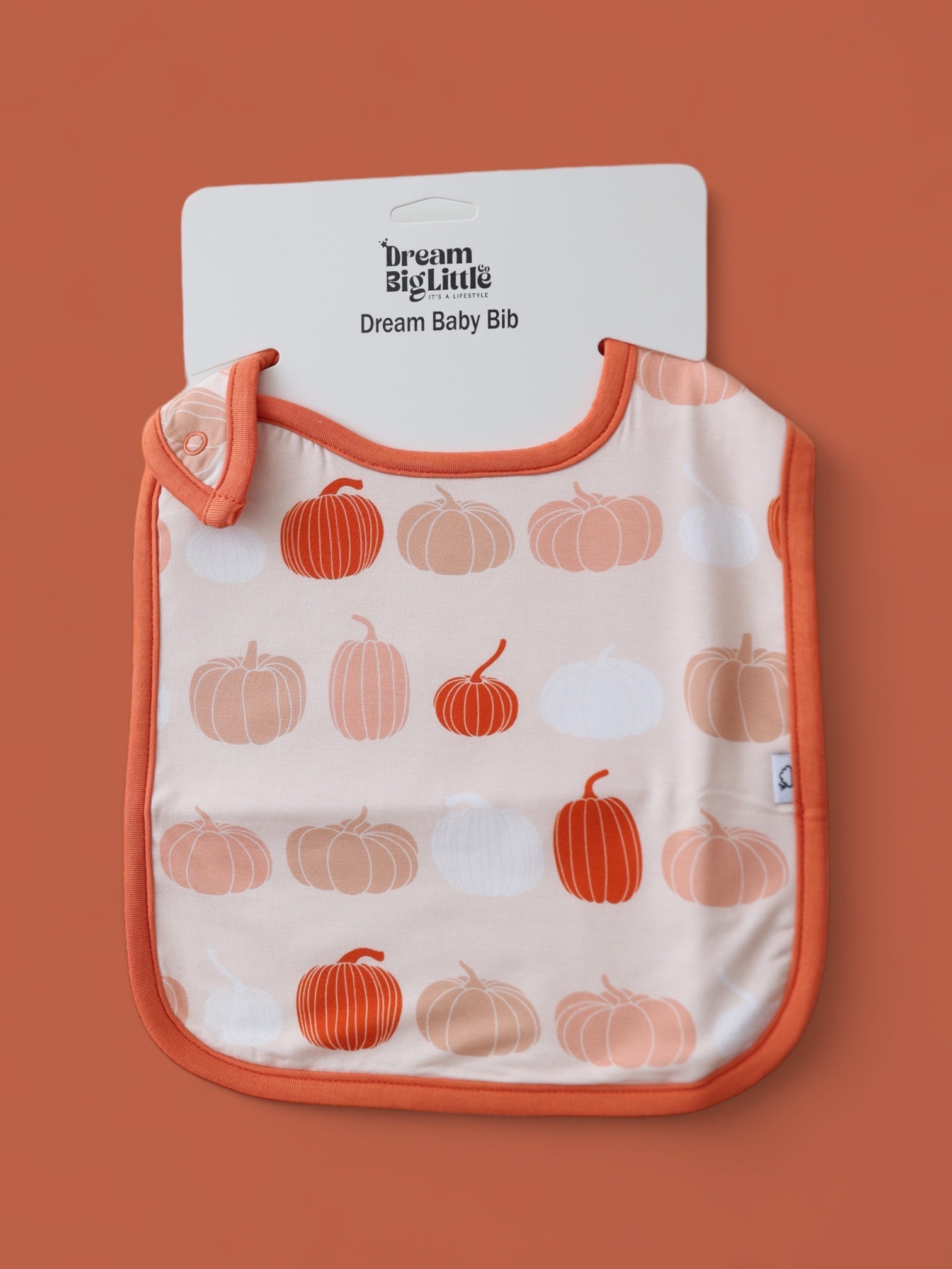 Pumpkin Patch Dream Baby Bib