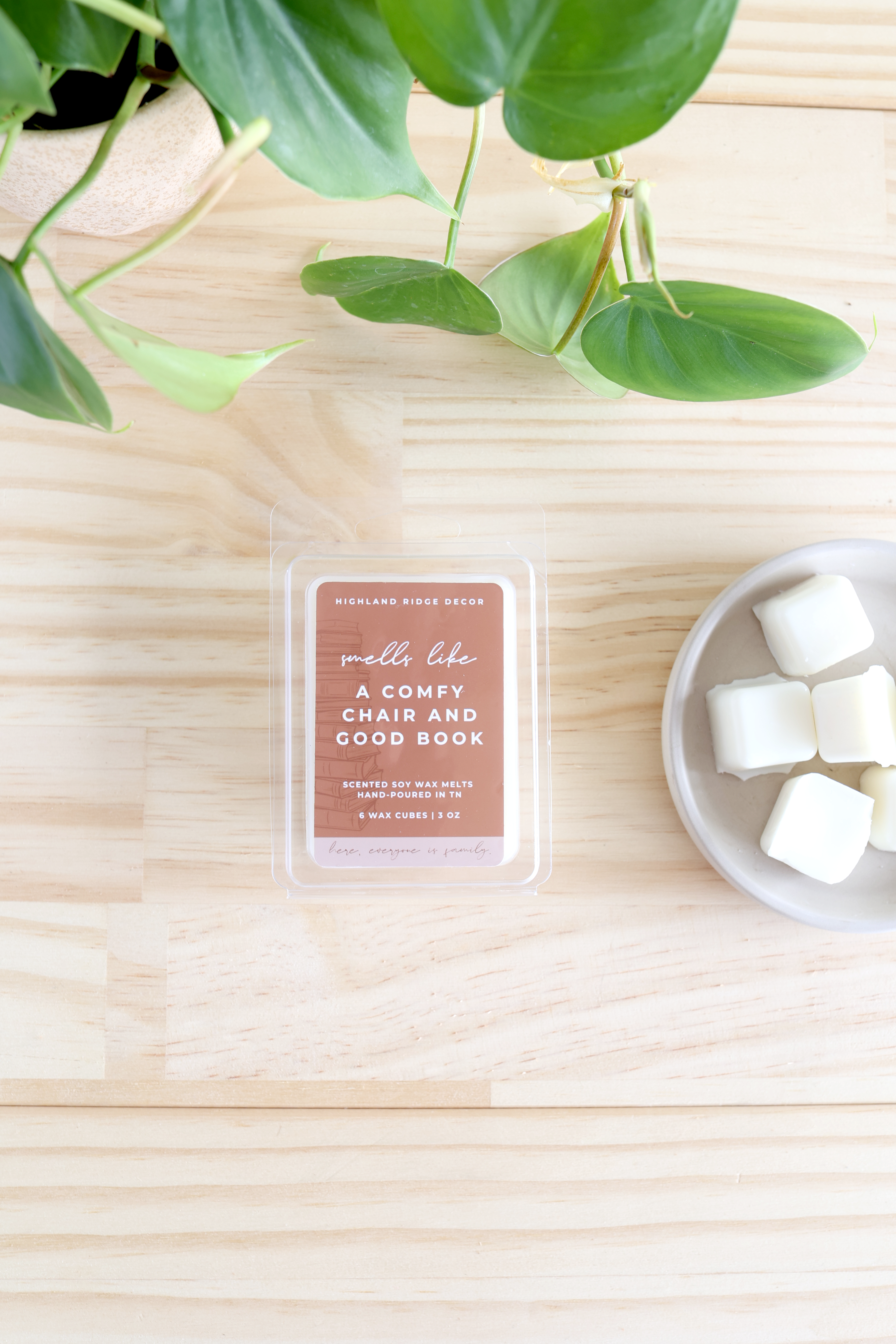 A Comfy Chair And Good Book Wax Melt