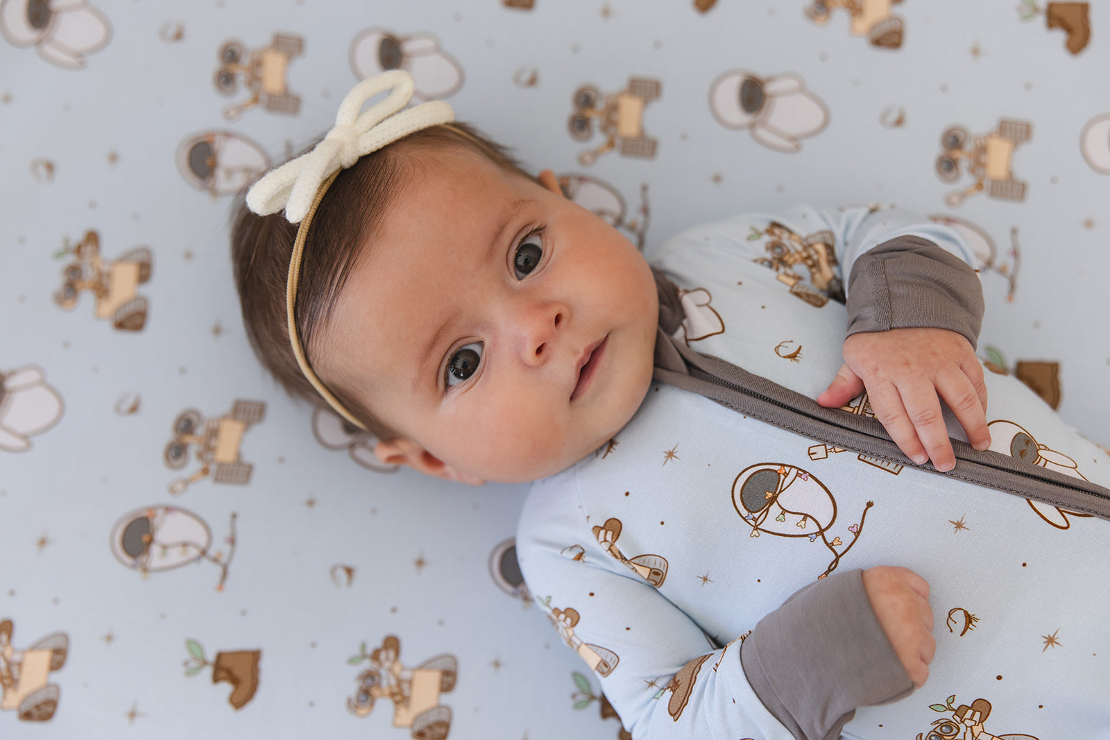 Trash Planet - Zippy