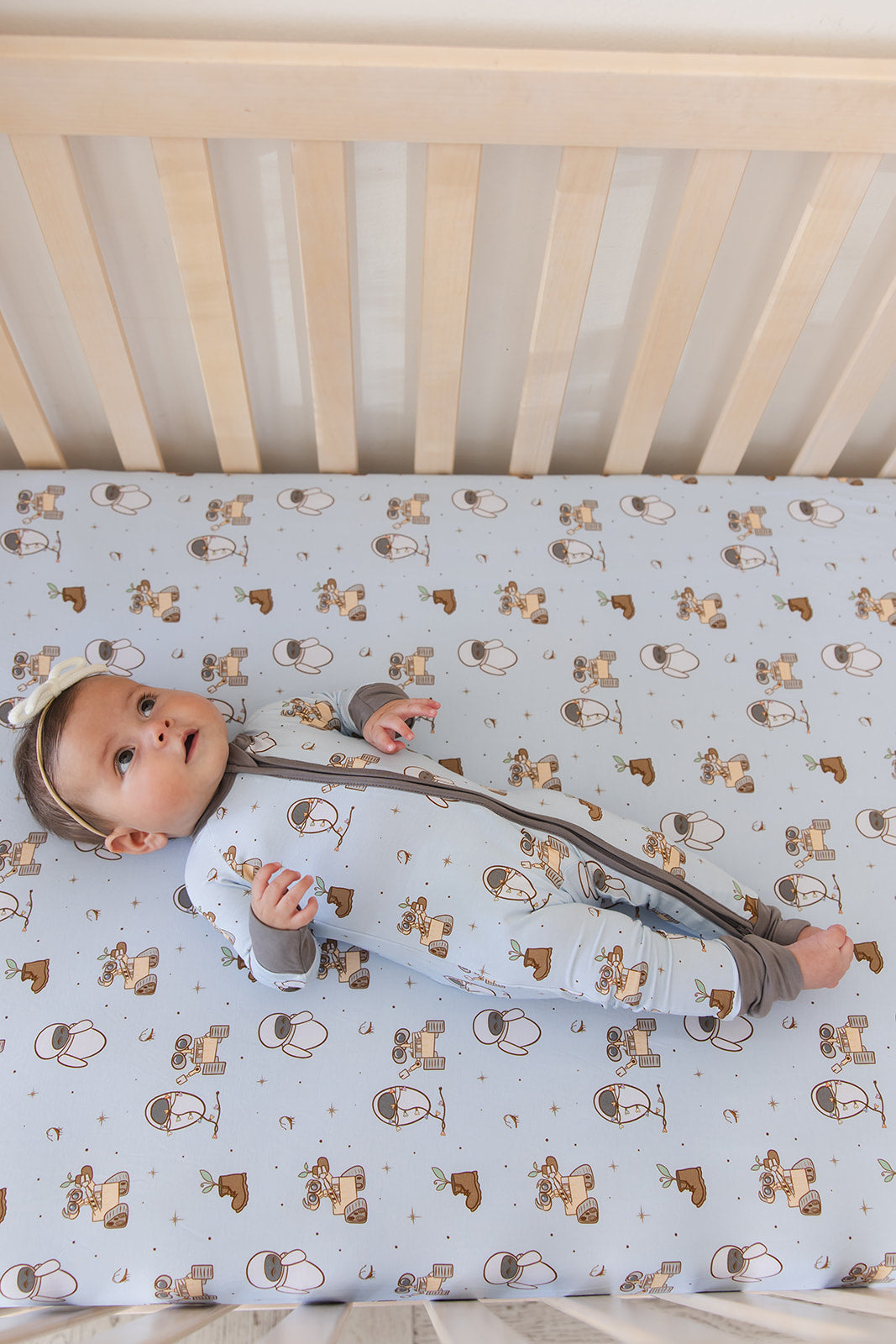 Trash Planet - Crib Sheet