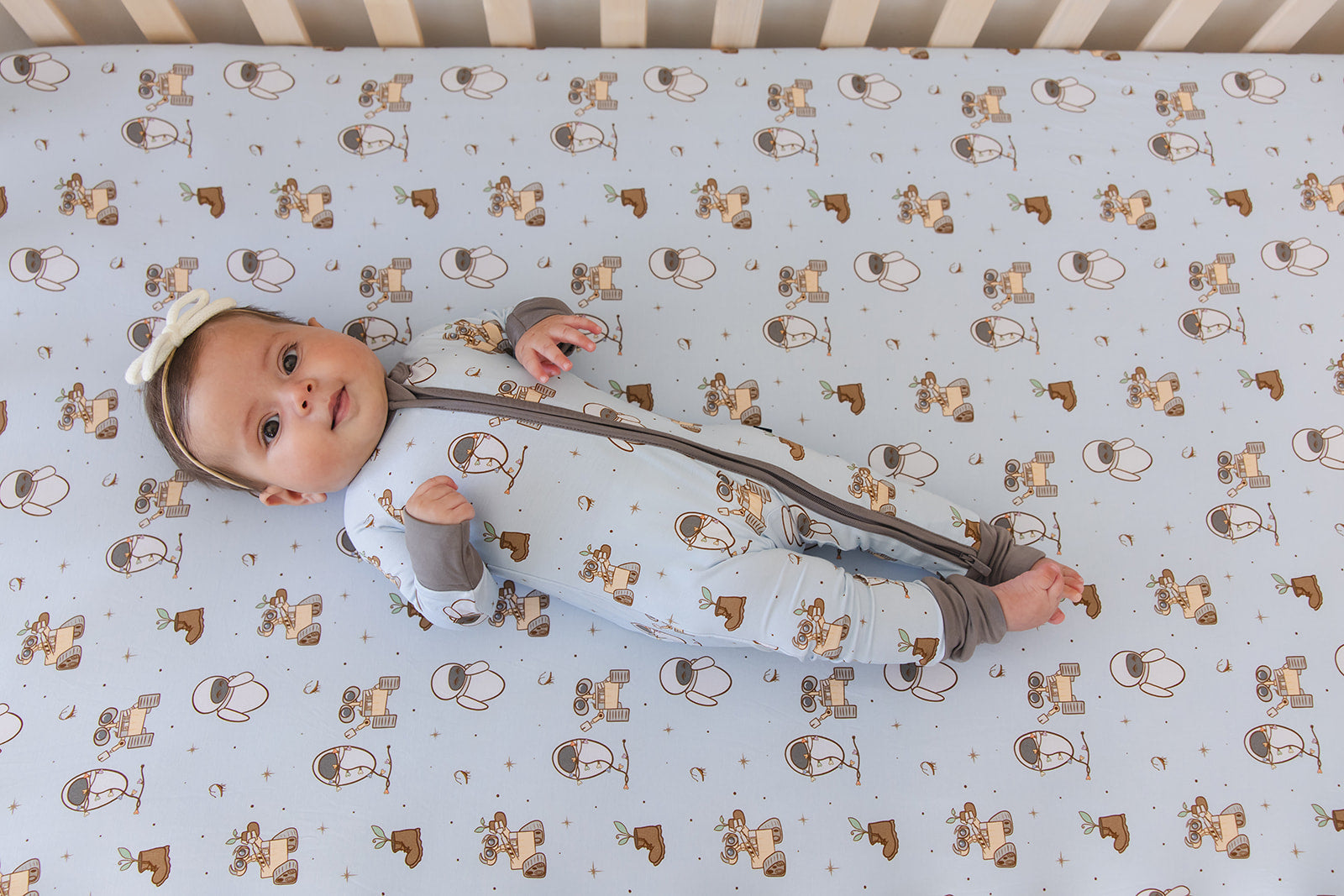 Trash Planet - Crib Sheet