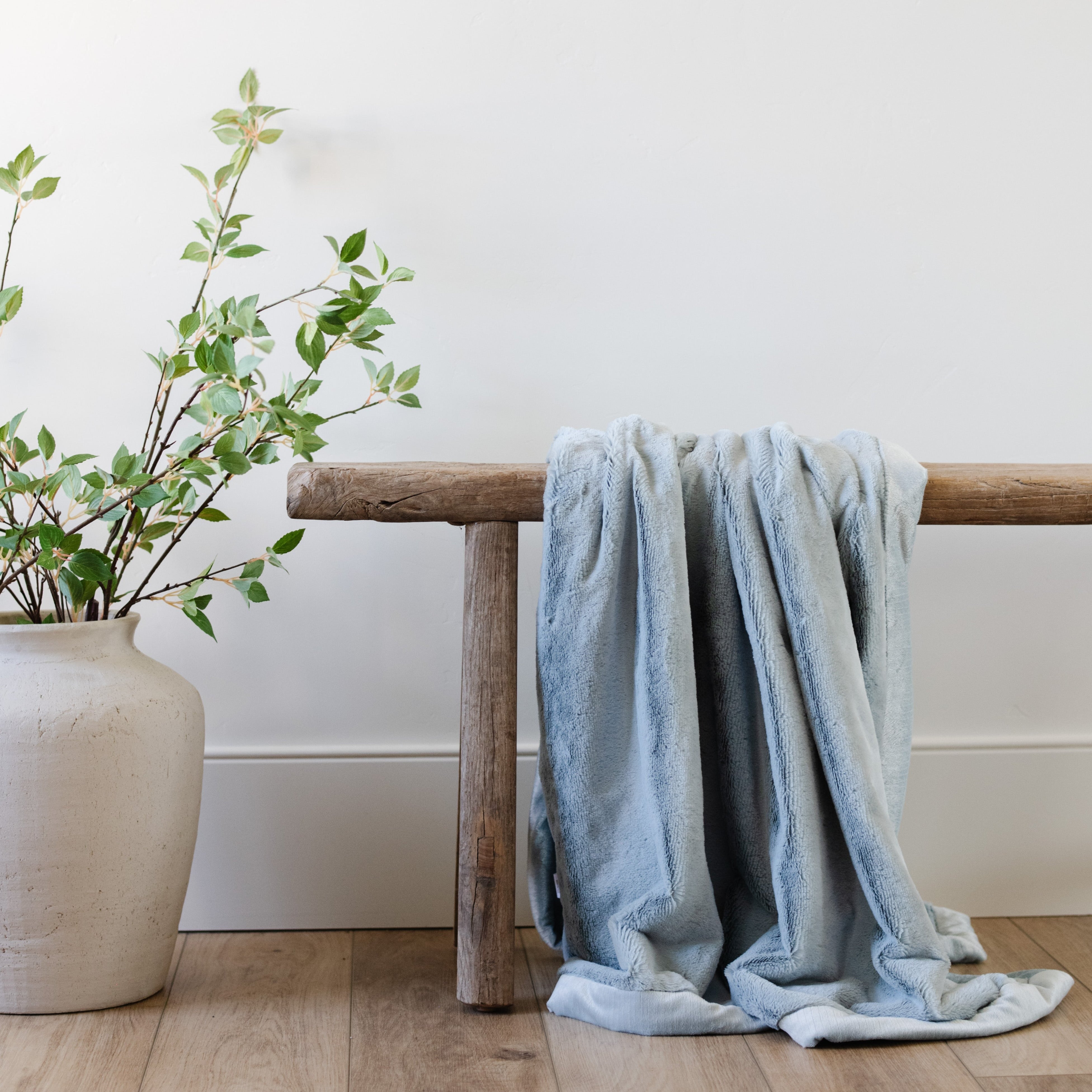 Lush Toddler Blankets