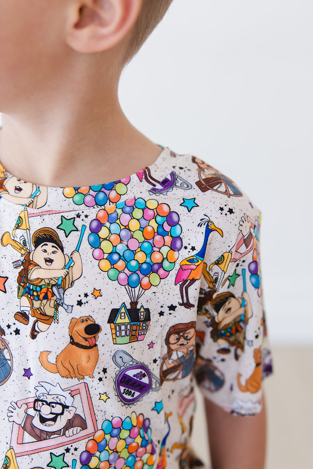 Paradise Falls - Everyday Tee