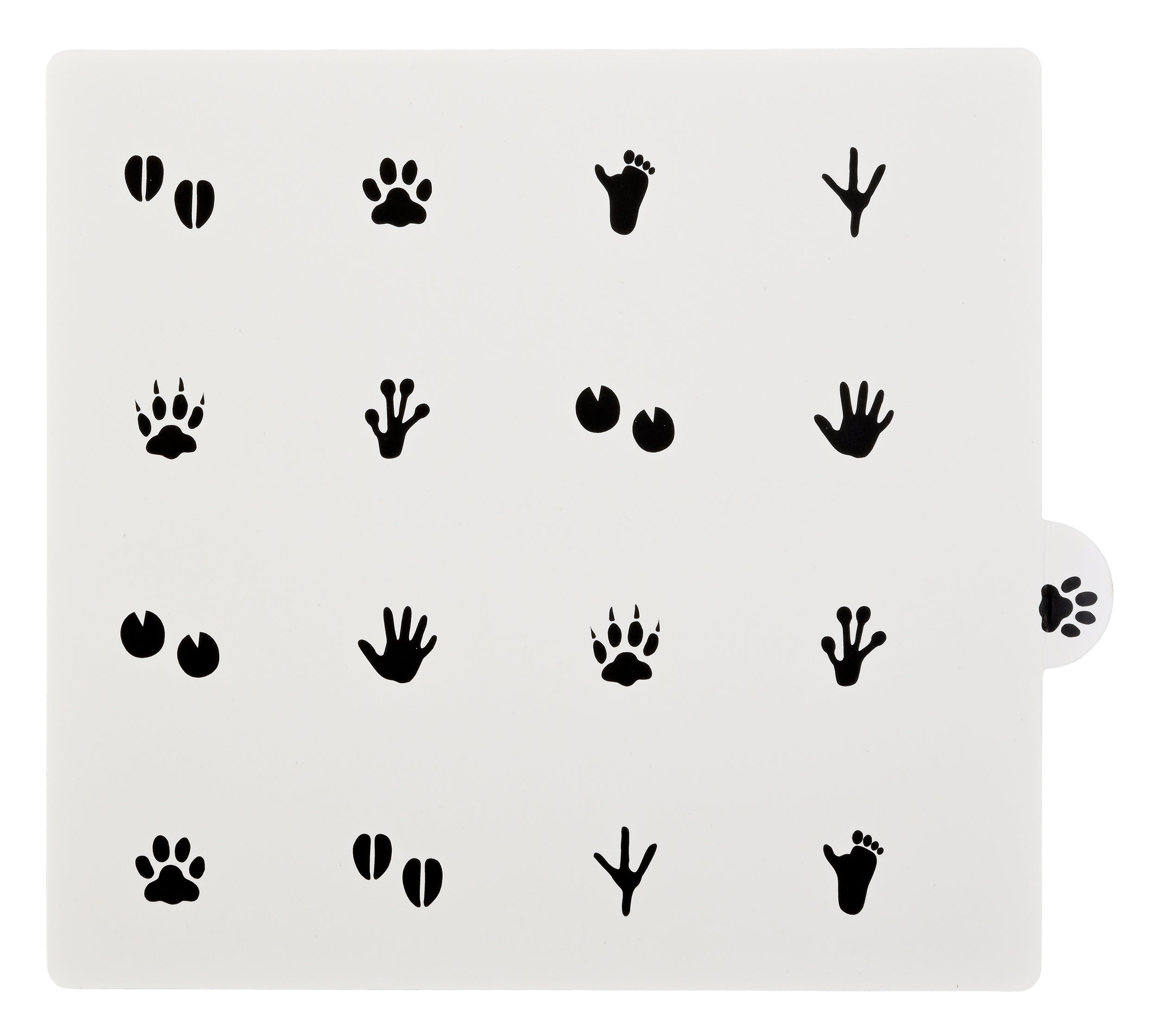 Memory Moves Montessori Matching Game