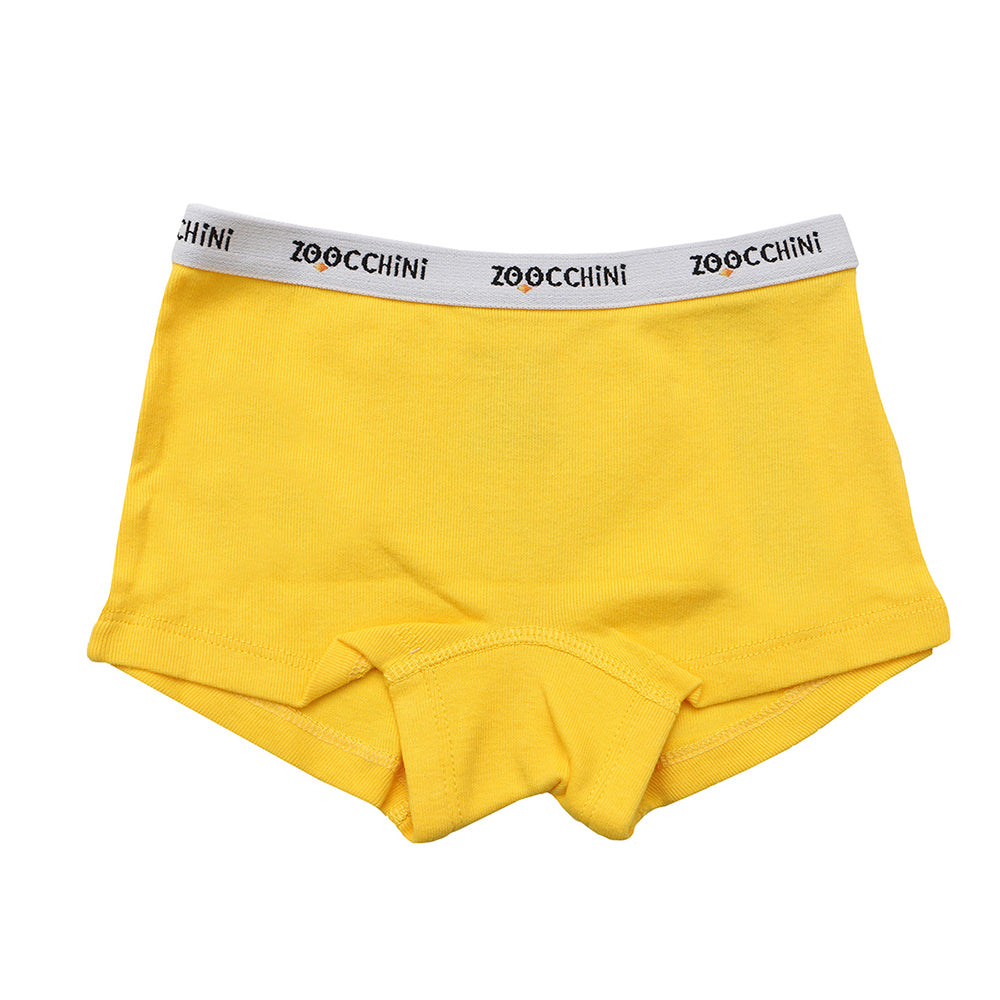3 Piece Organic Hipster Shorts - Flower Power