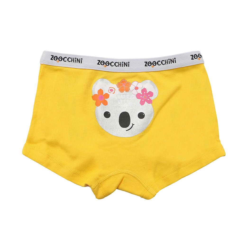 3 Piece Organic Hipster Shorts - Flower Power