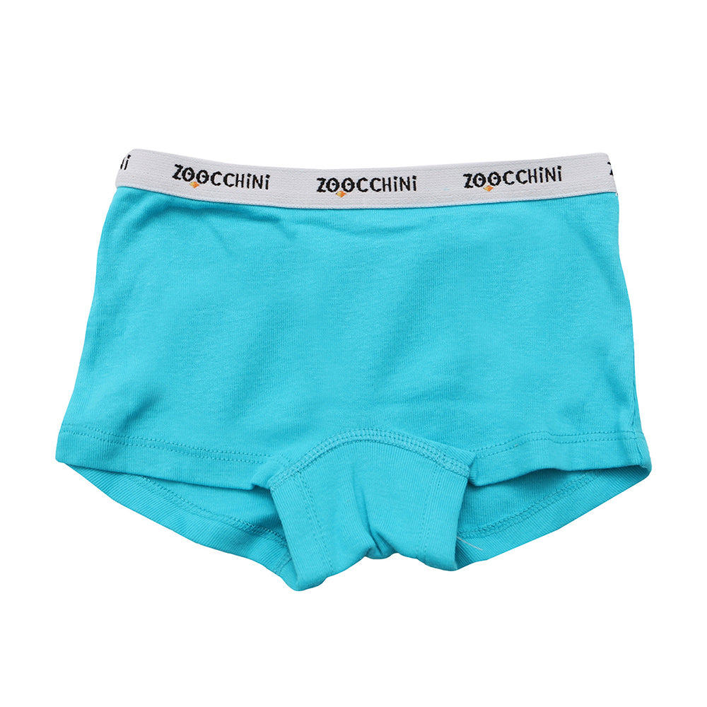 3 Piece Organic Hipster Shorts - Flower Power