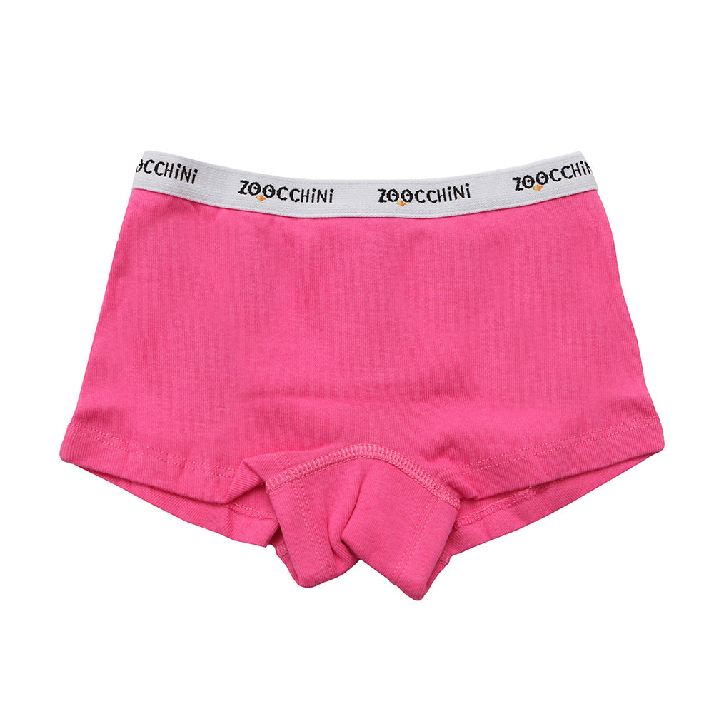3 Piece Organic Hipster Shorts - Flower Power