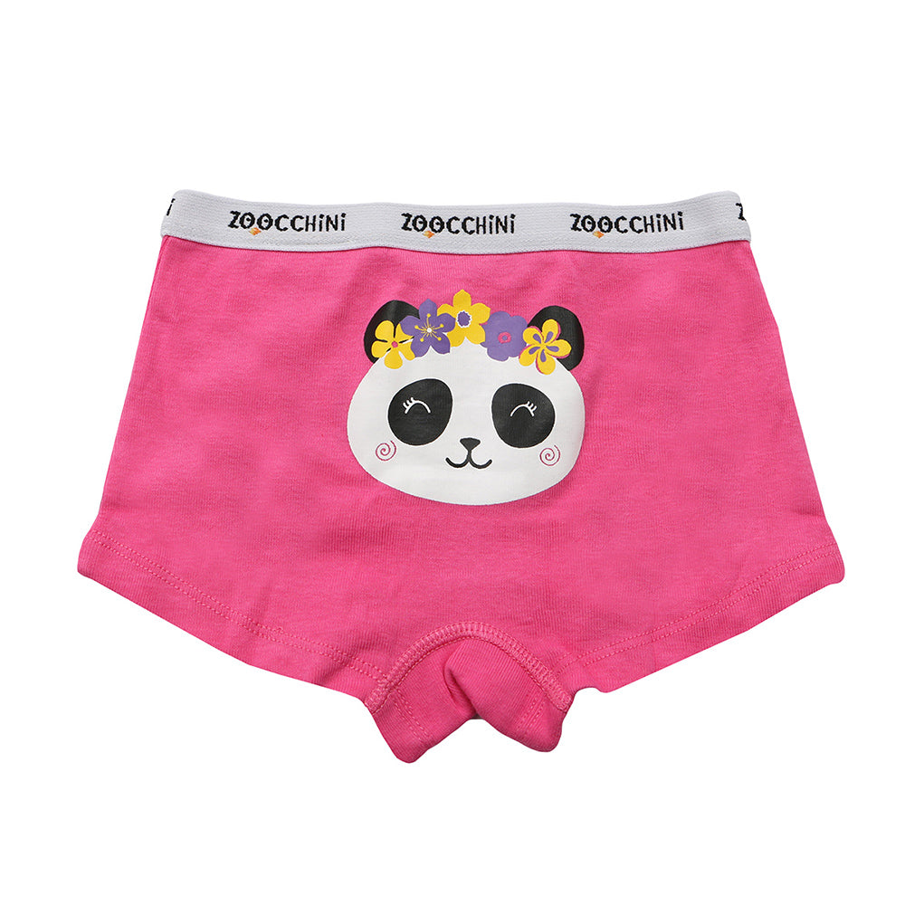 3 Piece Organic Hipster Shorts - Flower Power