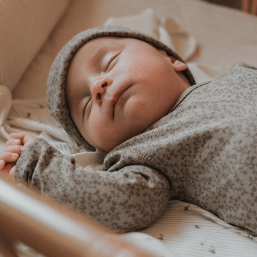 The Printed Hat - Vine