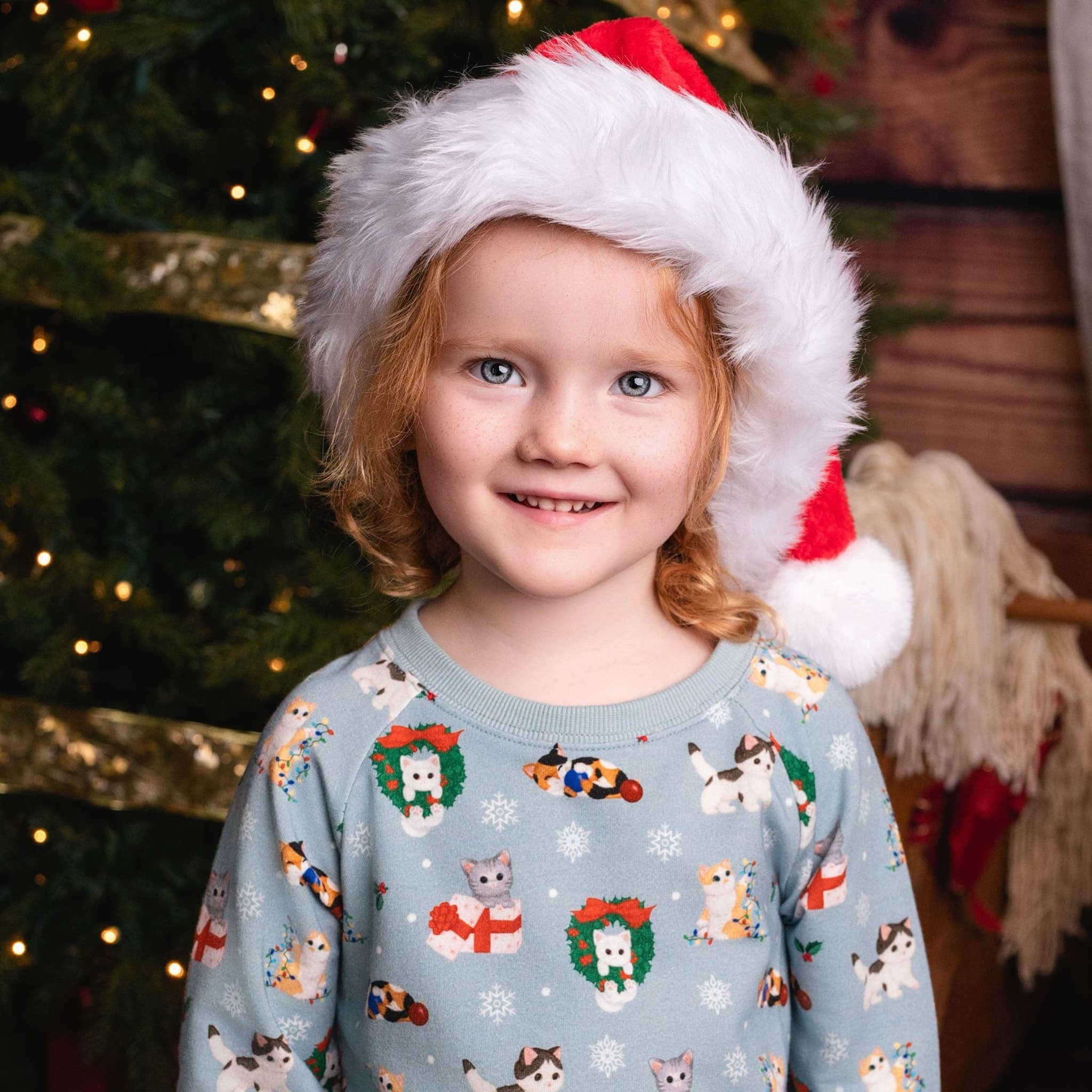 Whisker Wonderland Christmas Kittens Bamboo French Terry Crewneck Sweatshirt