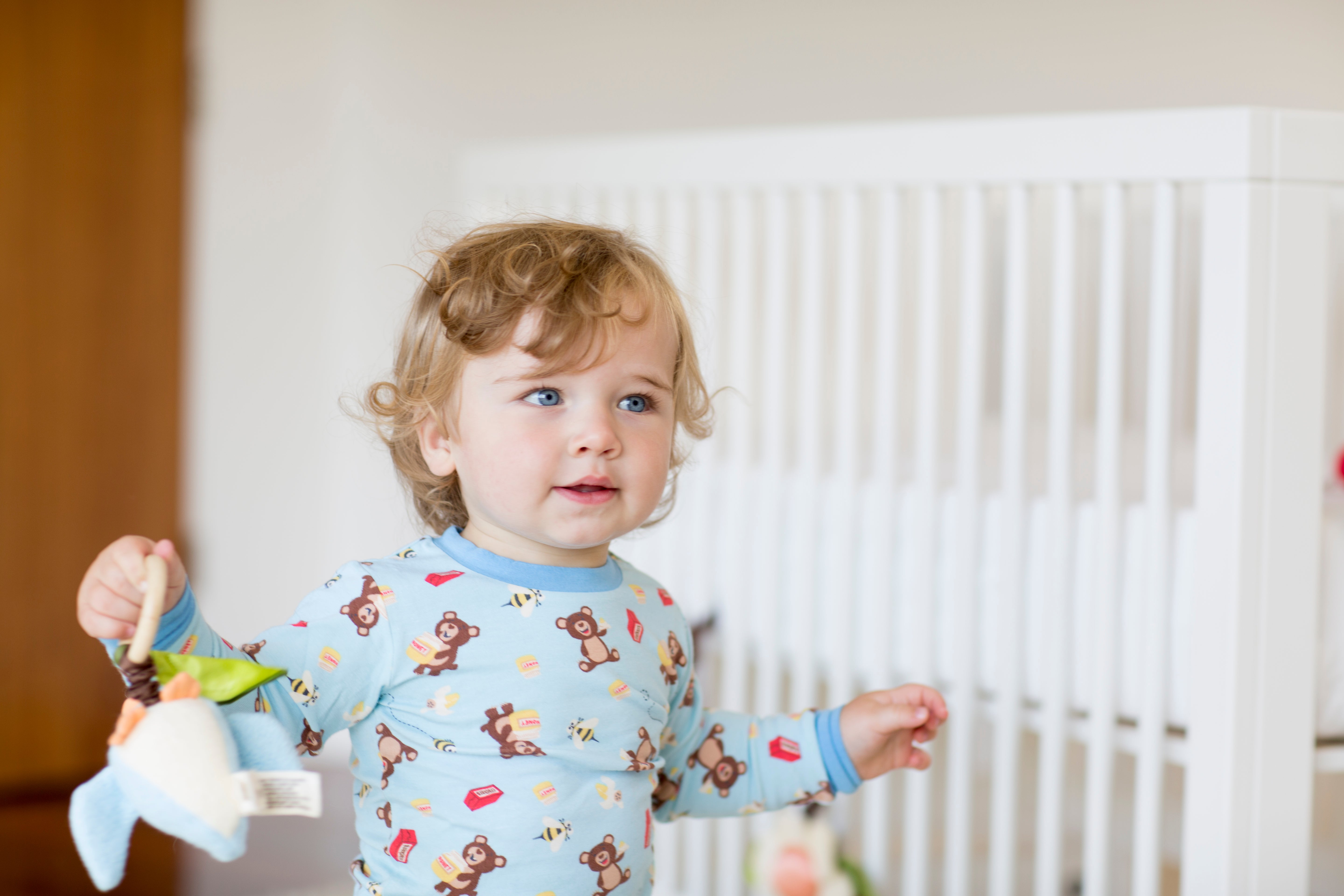 Crawling Critter Teething Toy - Blue Birdy
