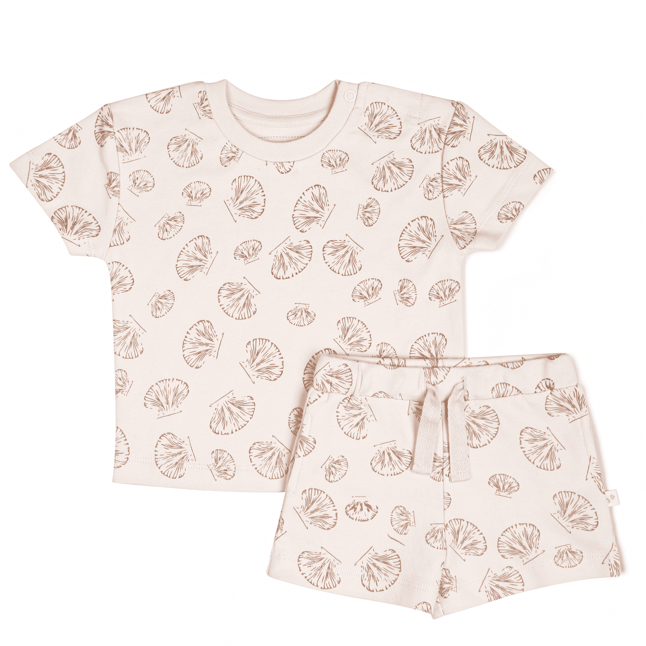 Organic Tee And Shorts Set - Seashells