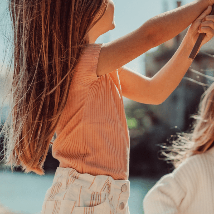 The Denim Skirt - Rose Stripe