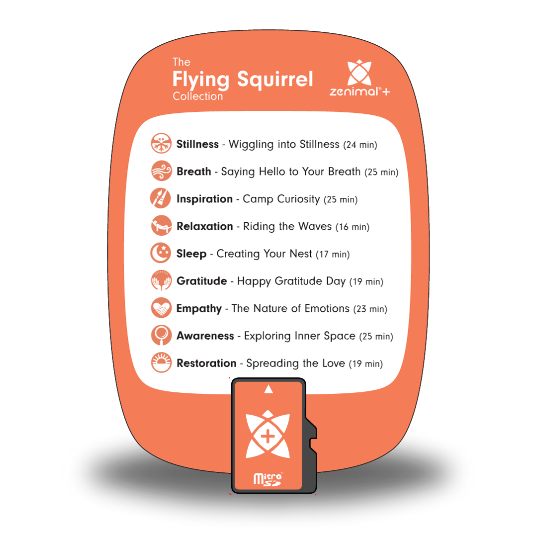 Flying Squirrel Collection