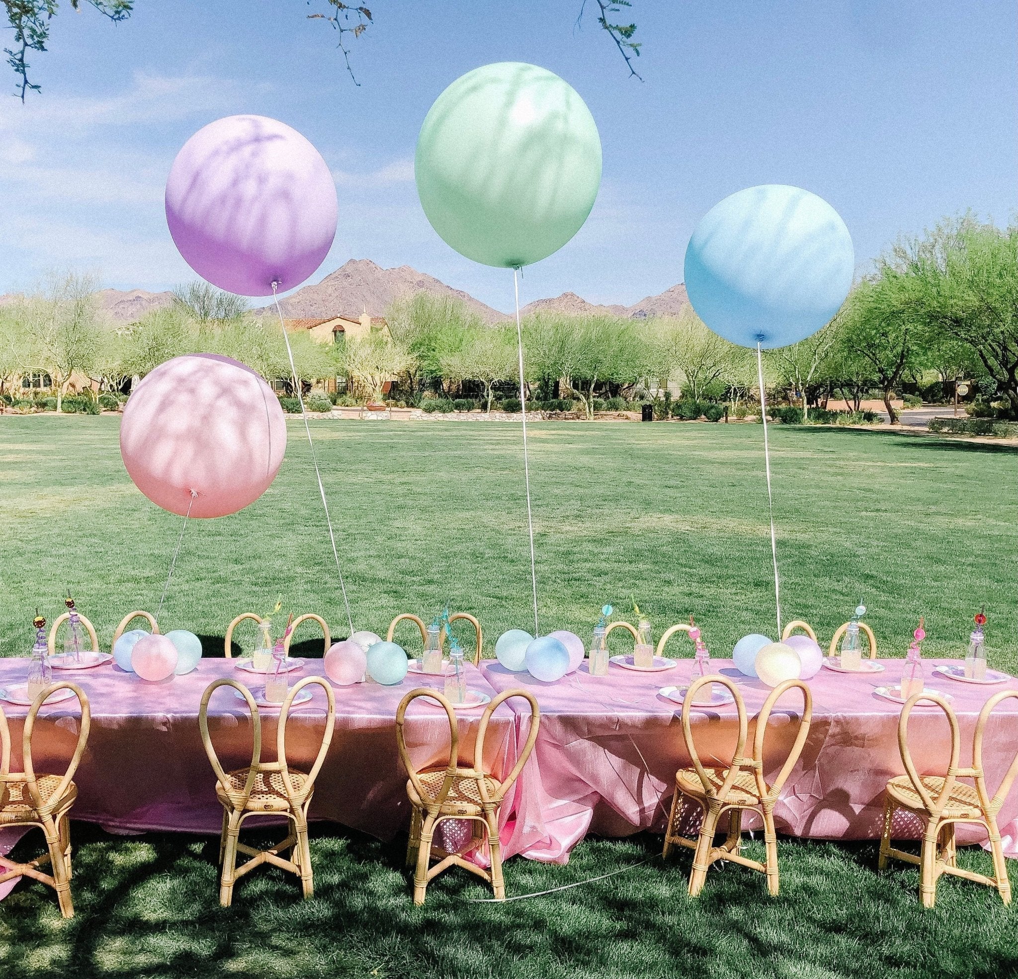 Giant Balloons (24 Inches)