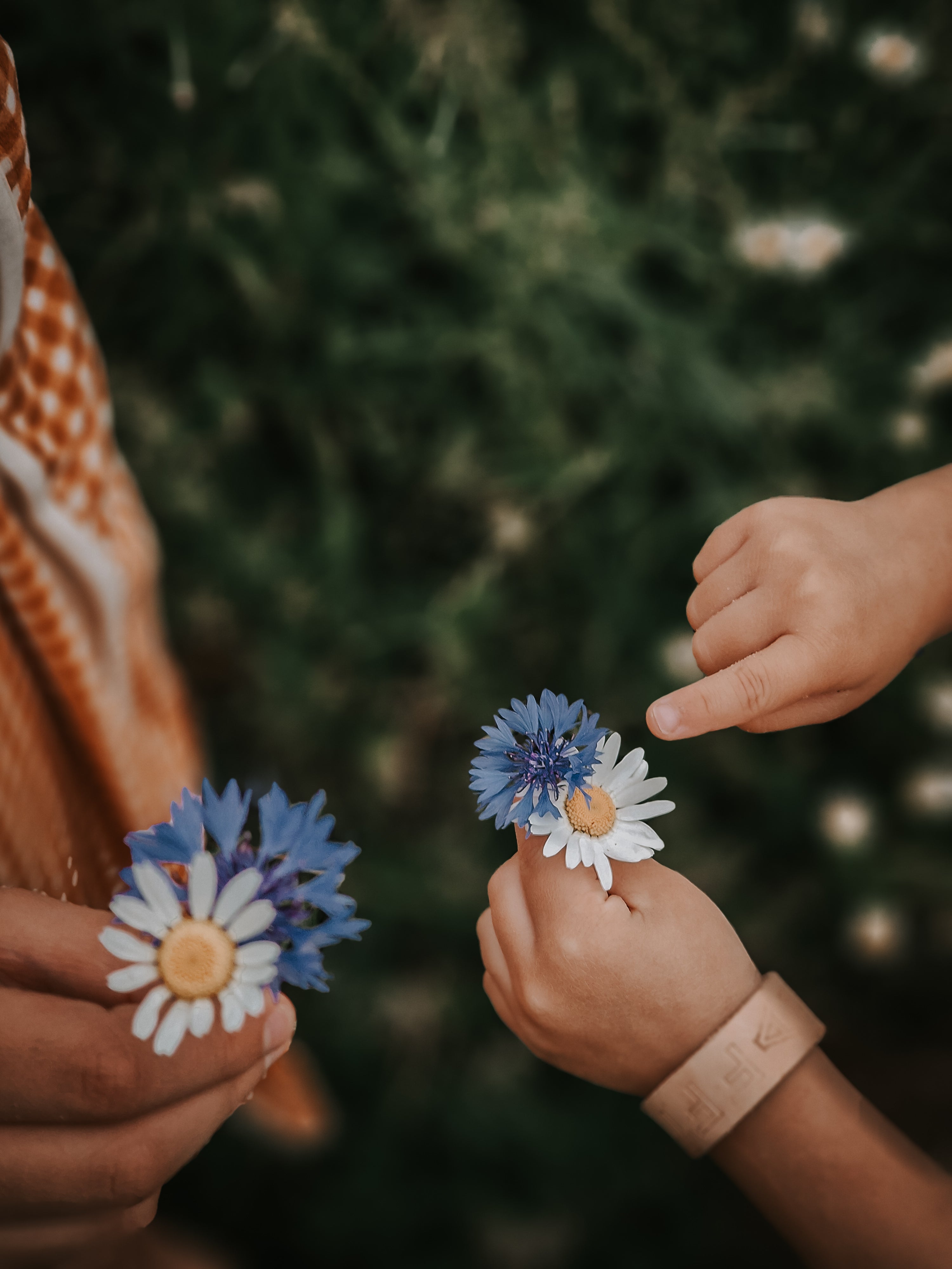 Bathing Towel Poncho | Organic Cotton - Buckwheat
