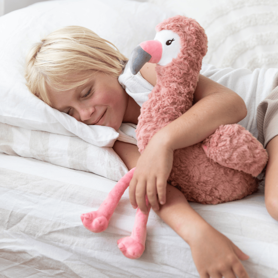 Buddies Bedtime Bundle