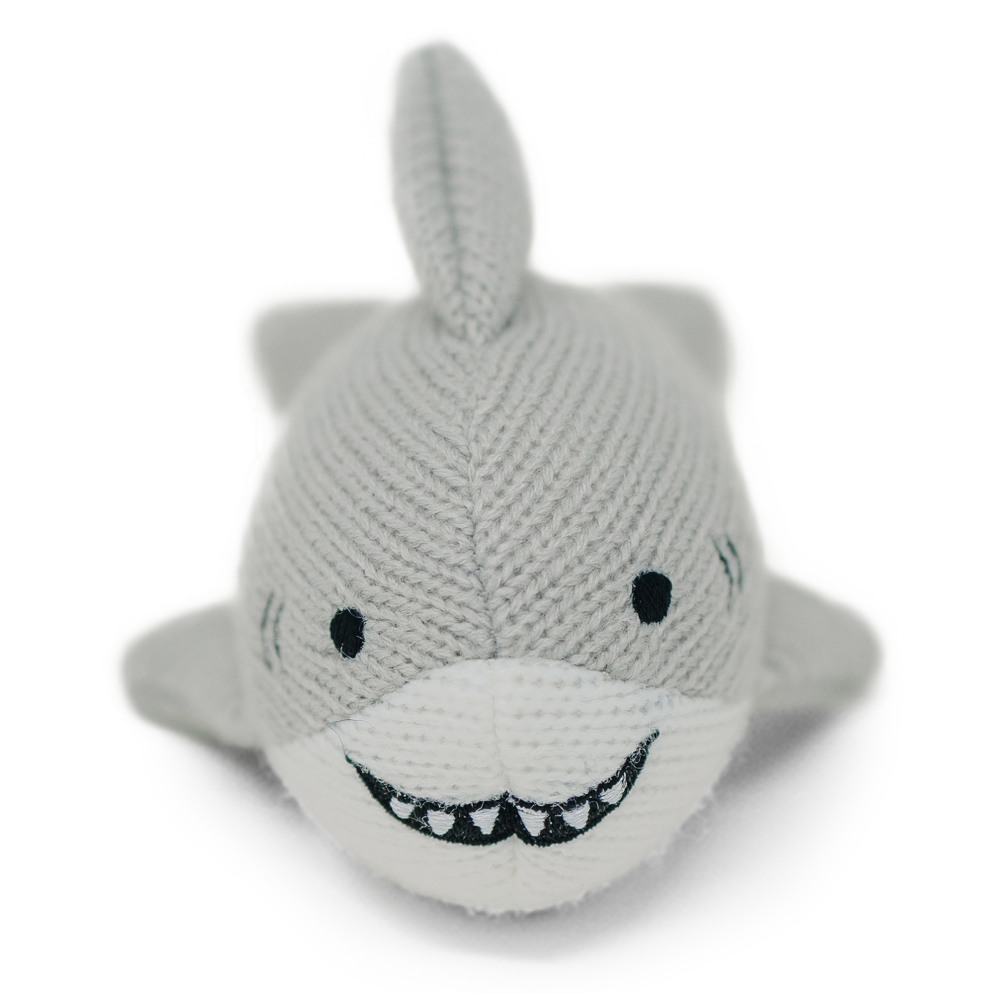 Shark