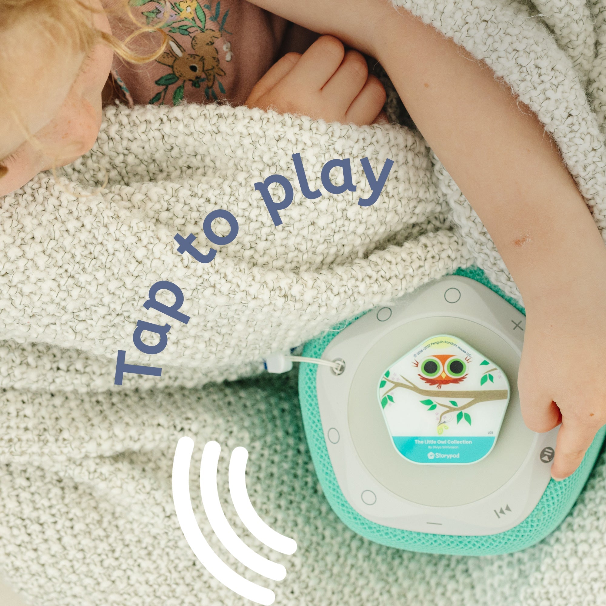 The Little Owl Collection