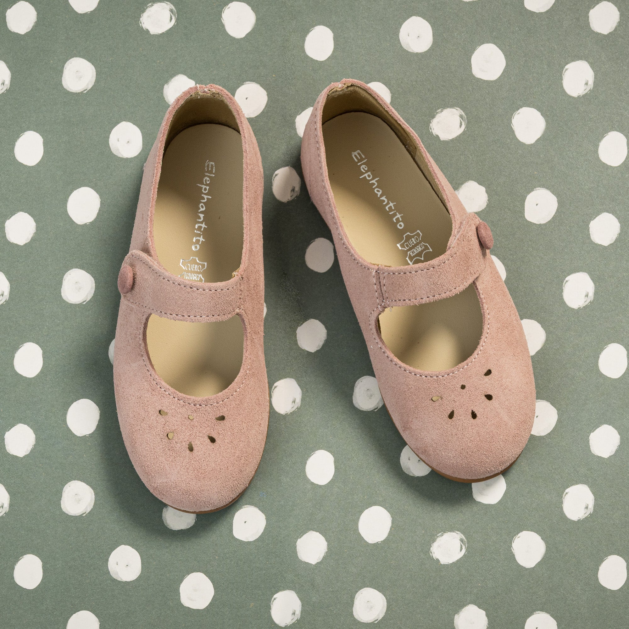 Andi Mary Jane Suede Rose