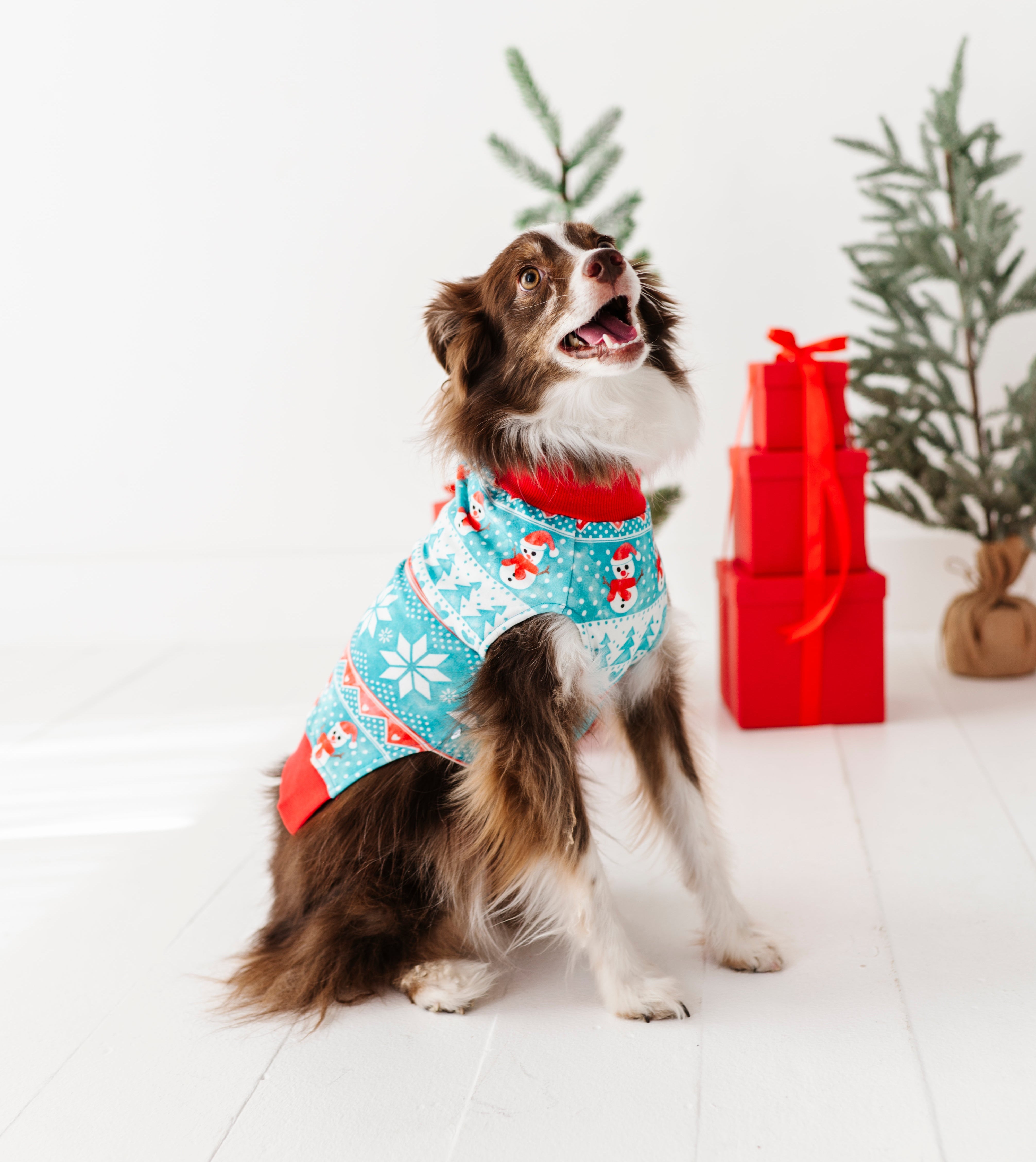 Frosty Fair Isle Pet Sweatshirt