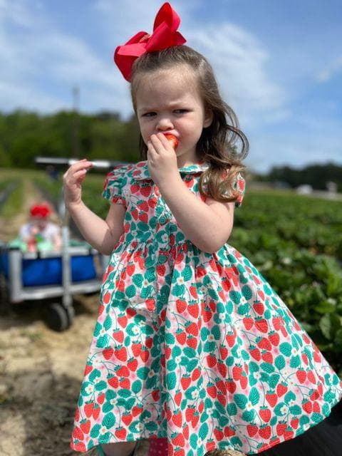 Vintage "love You Berry Much" Nellie Dress