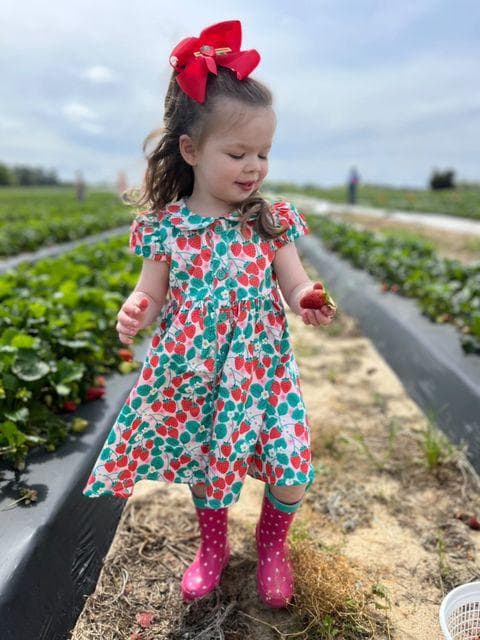Vintage "love You Berry Much" Nellie Dress