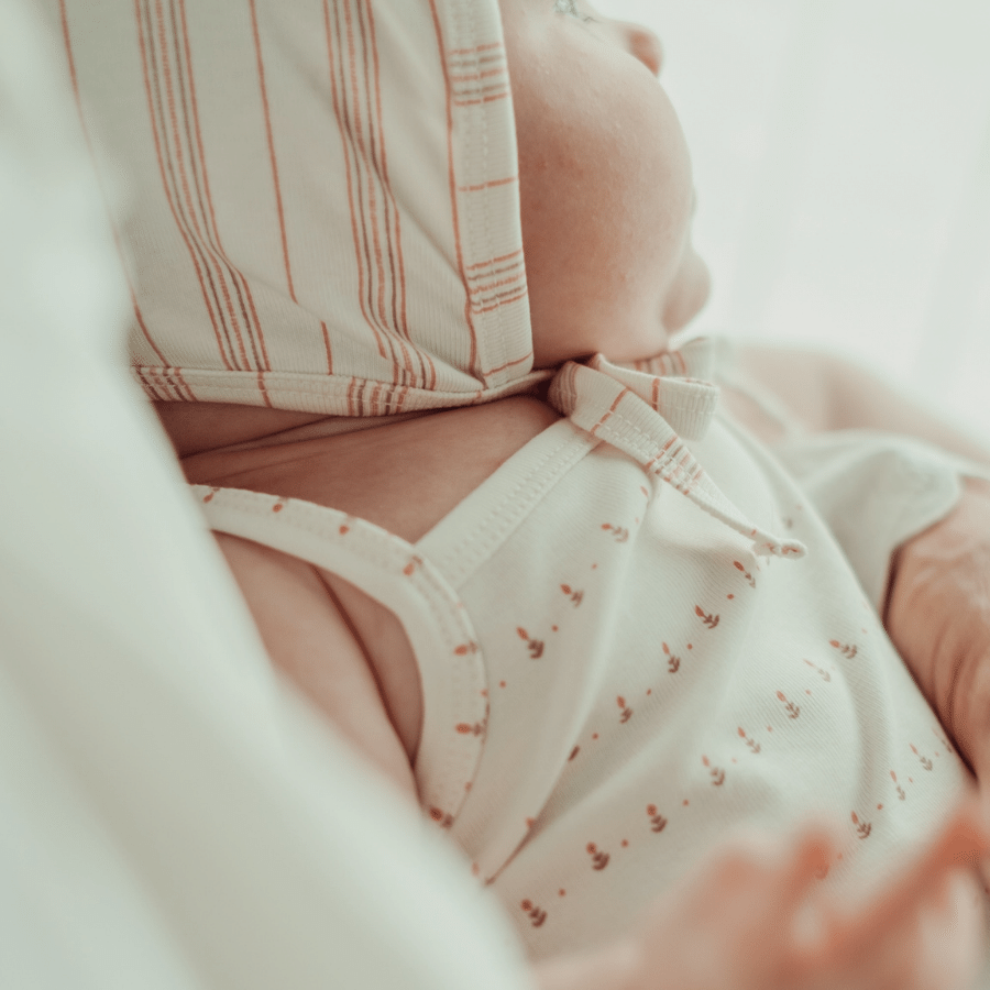 The Printed Bib - Mist Stripe