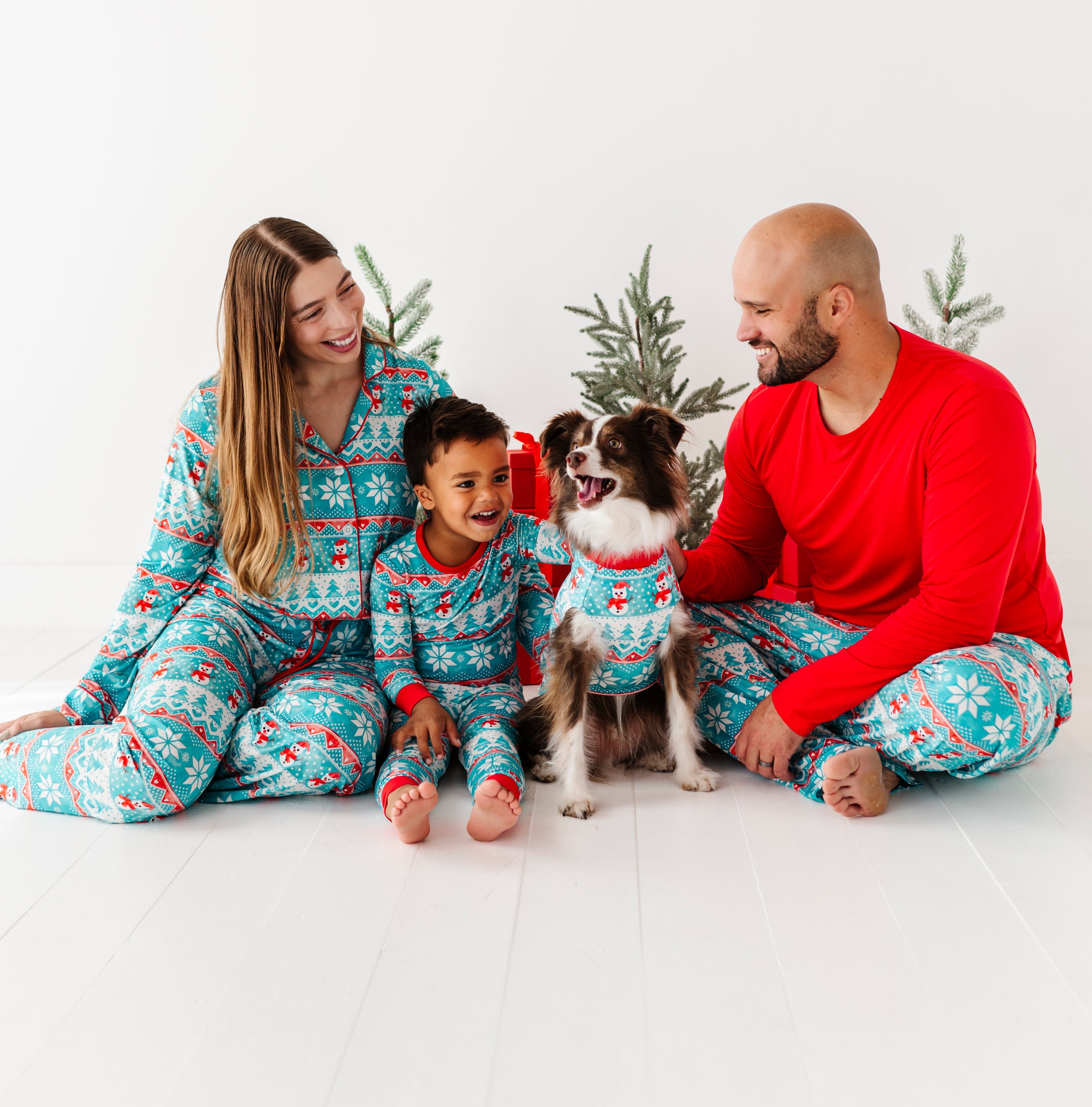 Frosty Fair Isle Pet Sweatshirt