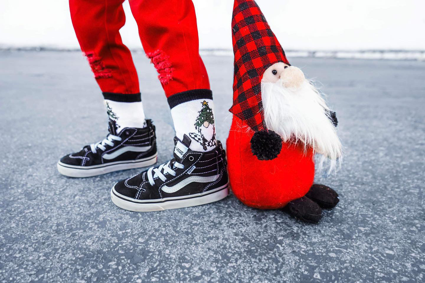 Gnome For The Holidays