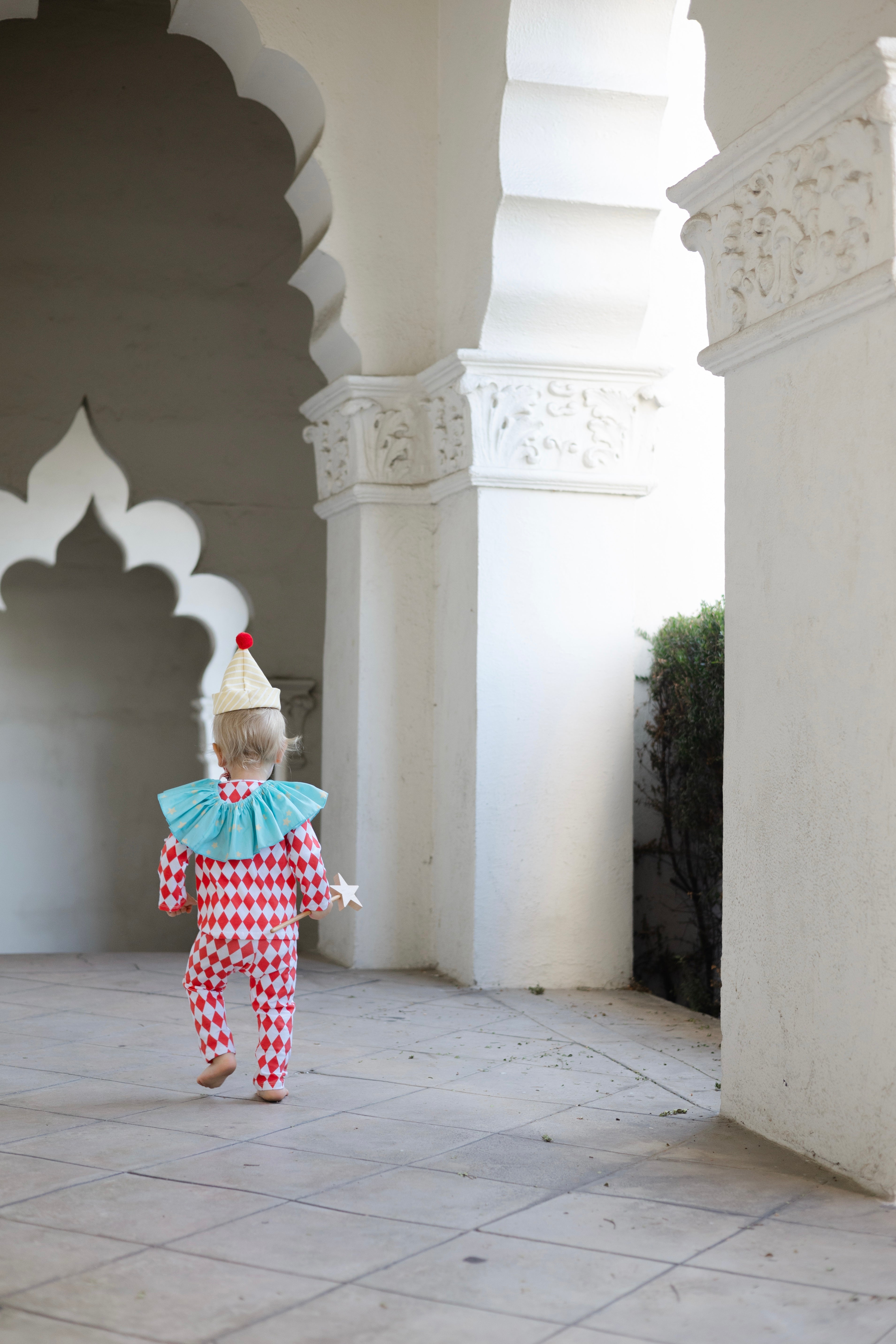 Harlequin Clown Costume