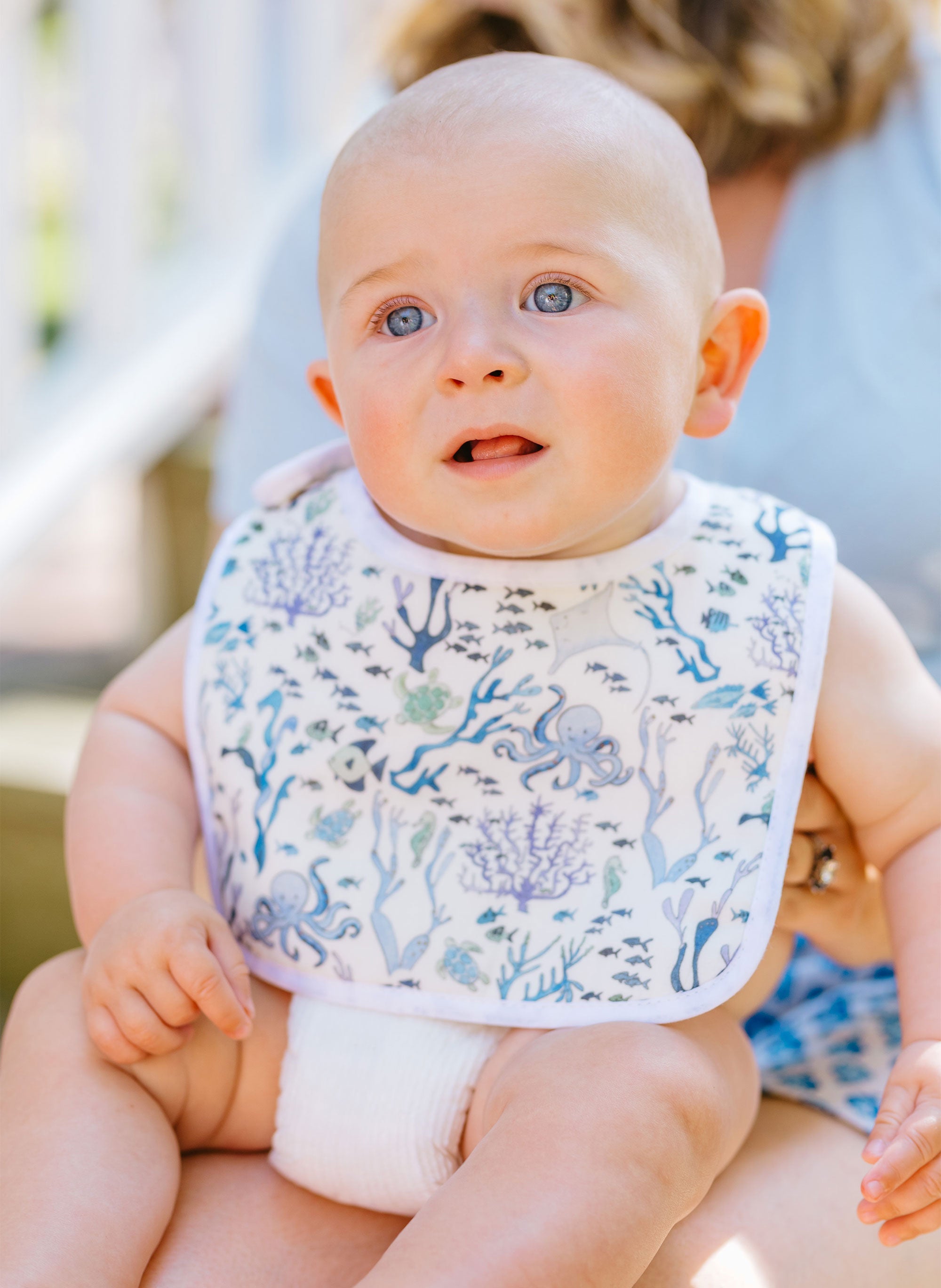 Coral Reef Bib