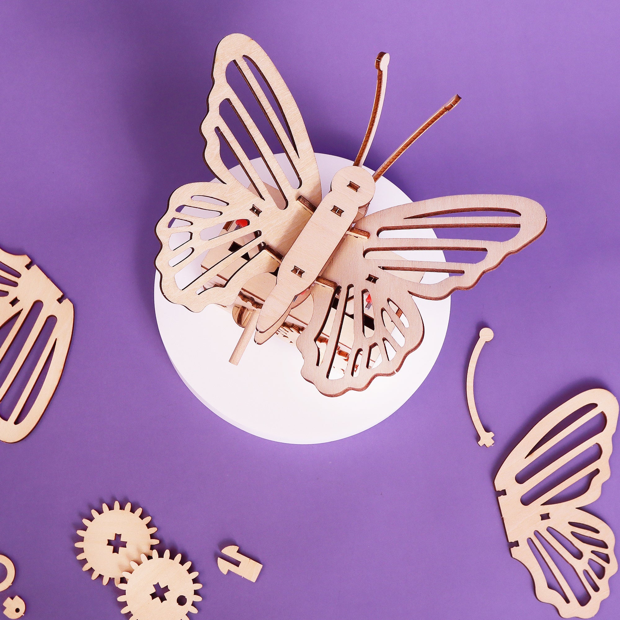 Fluttering Butterfly Diy Kit, Educational Stem Toy