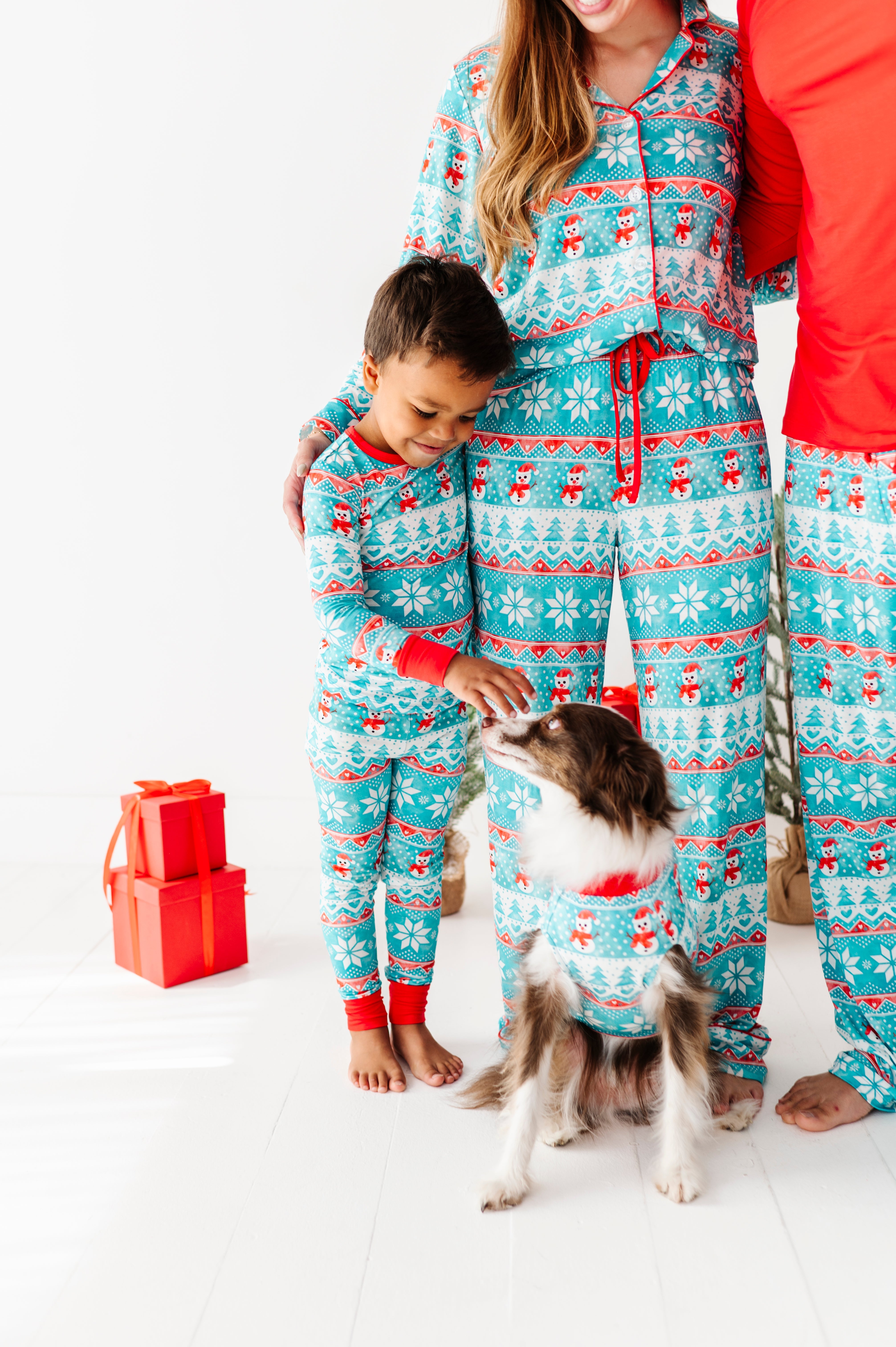 Frosty Fair Isle Pet Sweatshirt