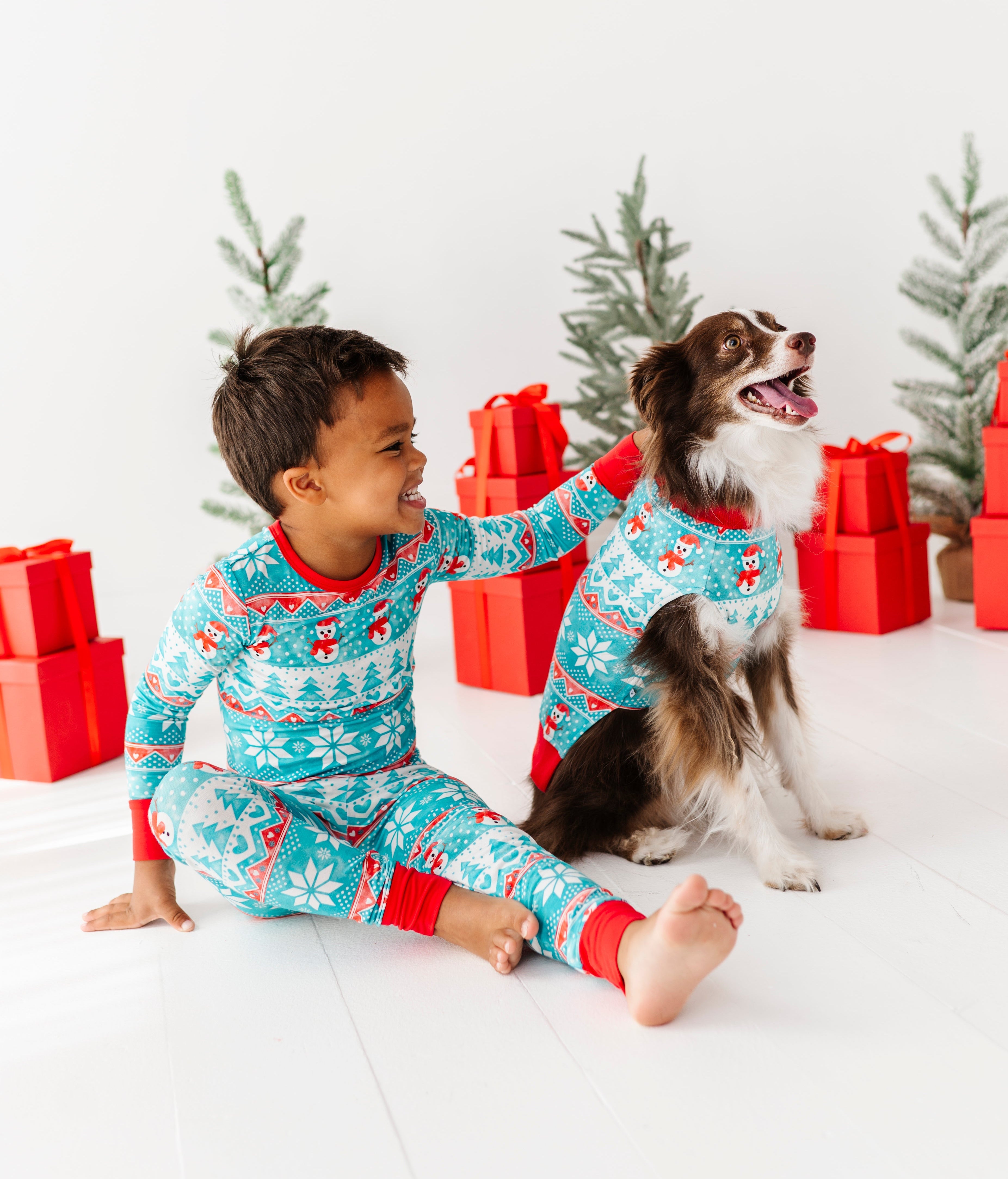 Frosty Fair Isle Pet Sweatshirt