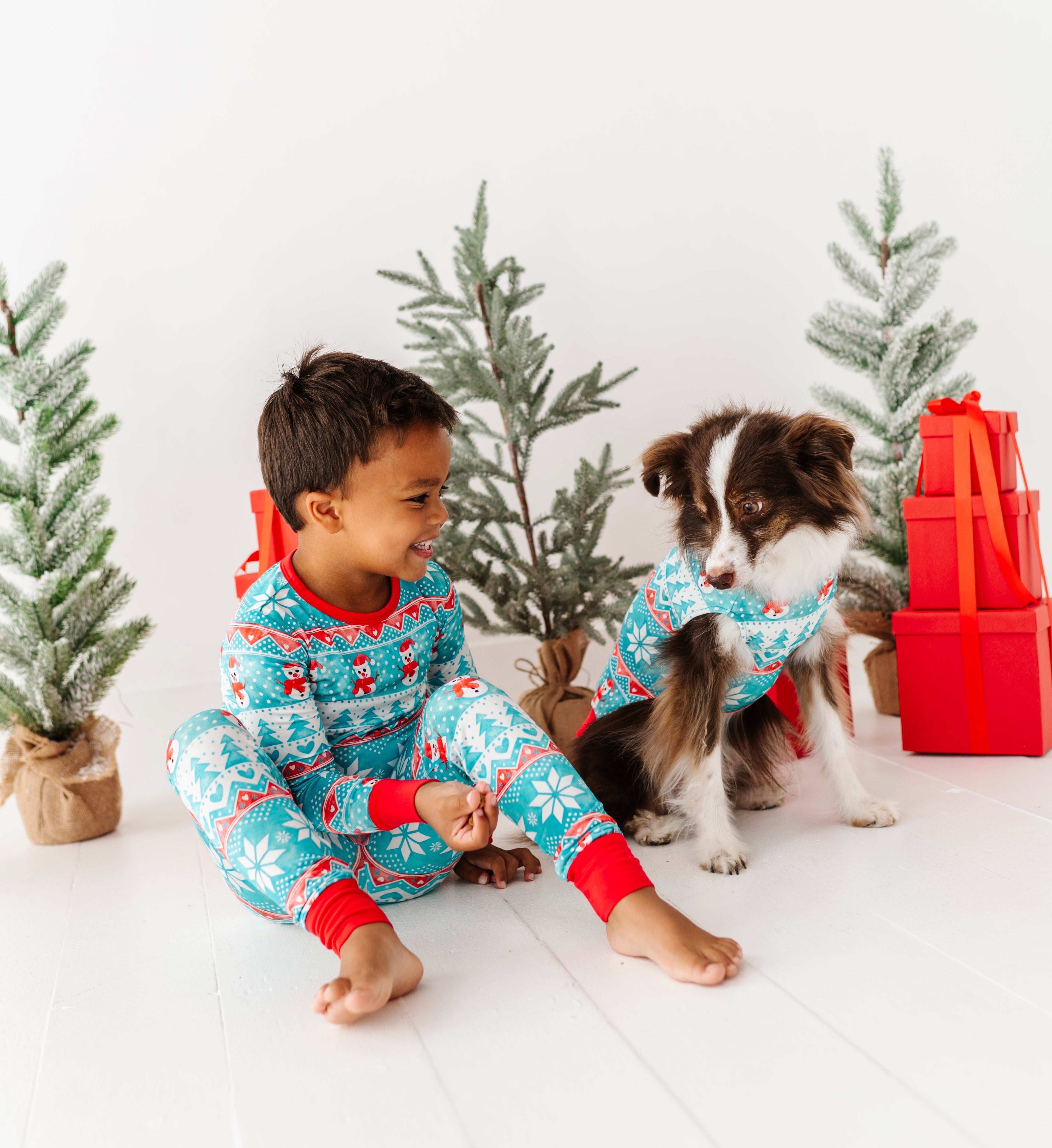 Frosty Fair Isle Pet Sweatshirt