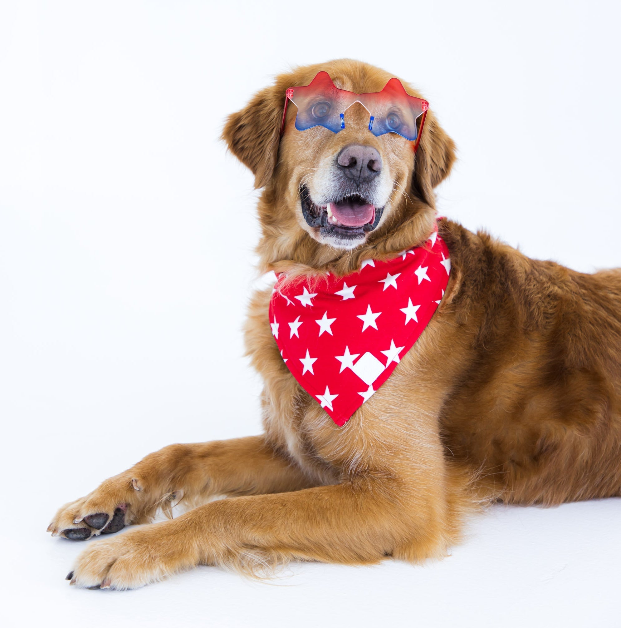 Star Pet Bandana