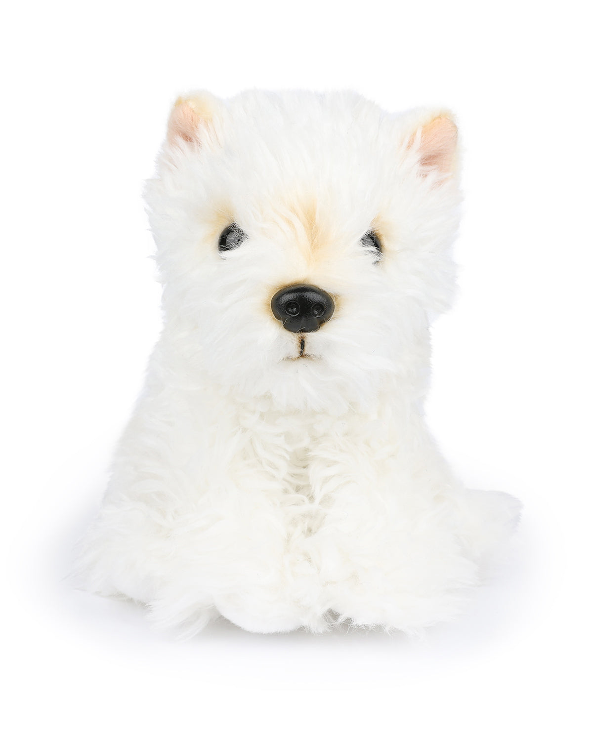 Plush Bt Chaps In Giftbox 6.5"