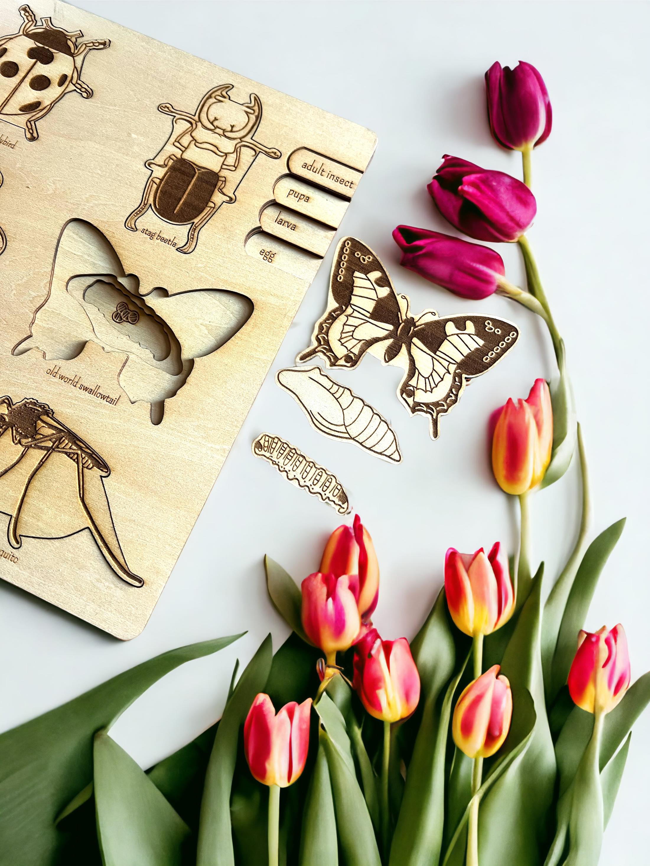 **pre-order (ships In 3-4 Weeks)**educational Multi-layered Wooden Puzzle