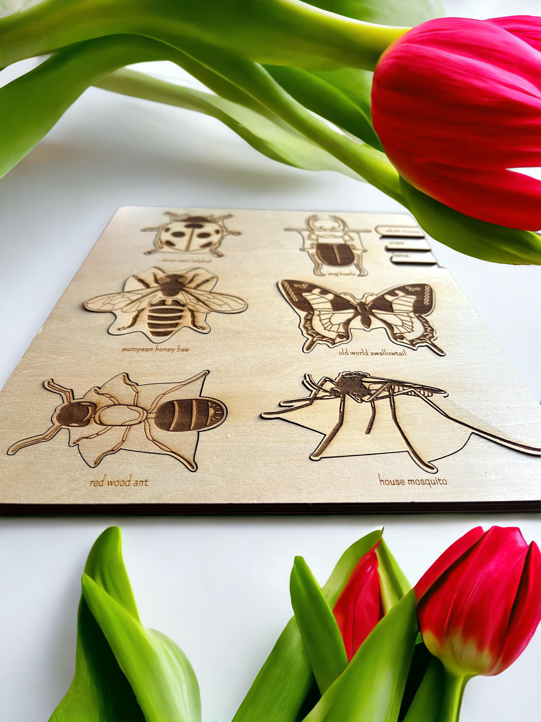 **pre-order (ships In 3-4 Weeks)**educational Multi-layered Wooden Puzzle