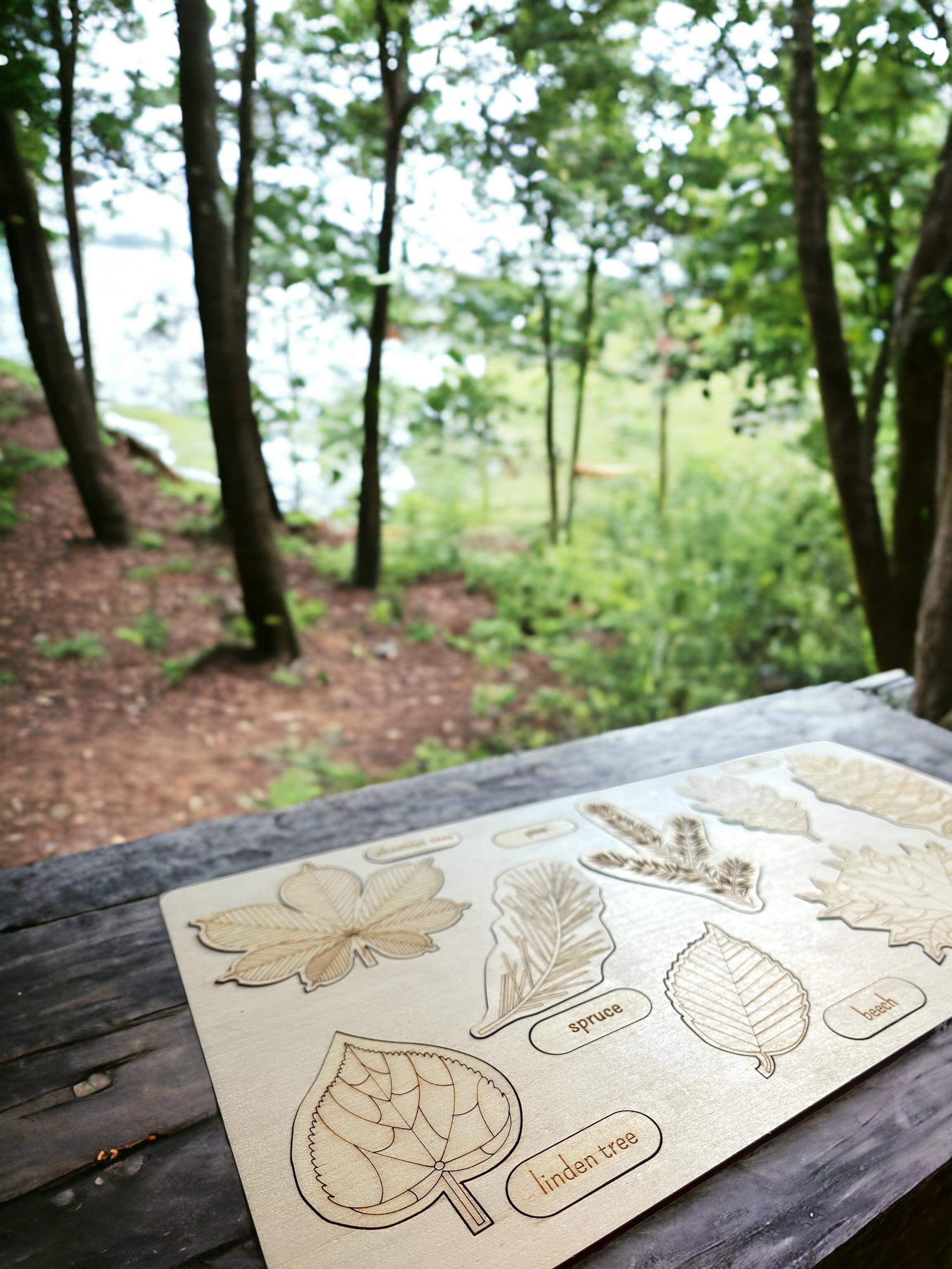 **pre-order (ships In 3-4 Weeks)**educational Multi-layered Wooden Puzzle