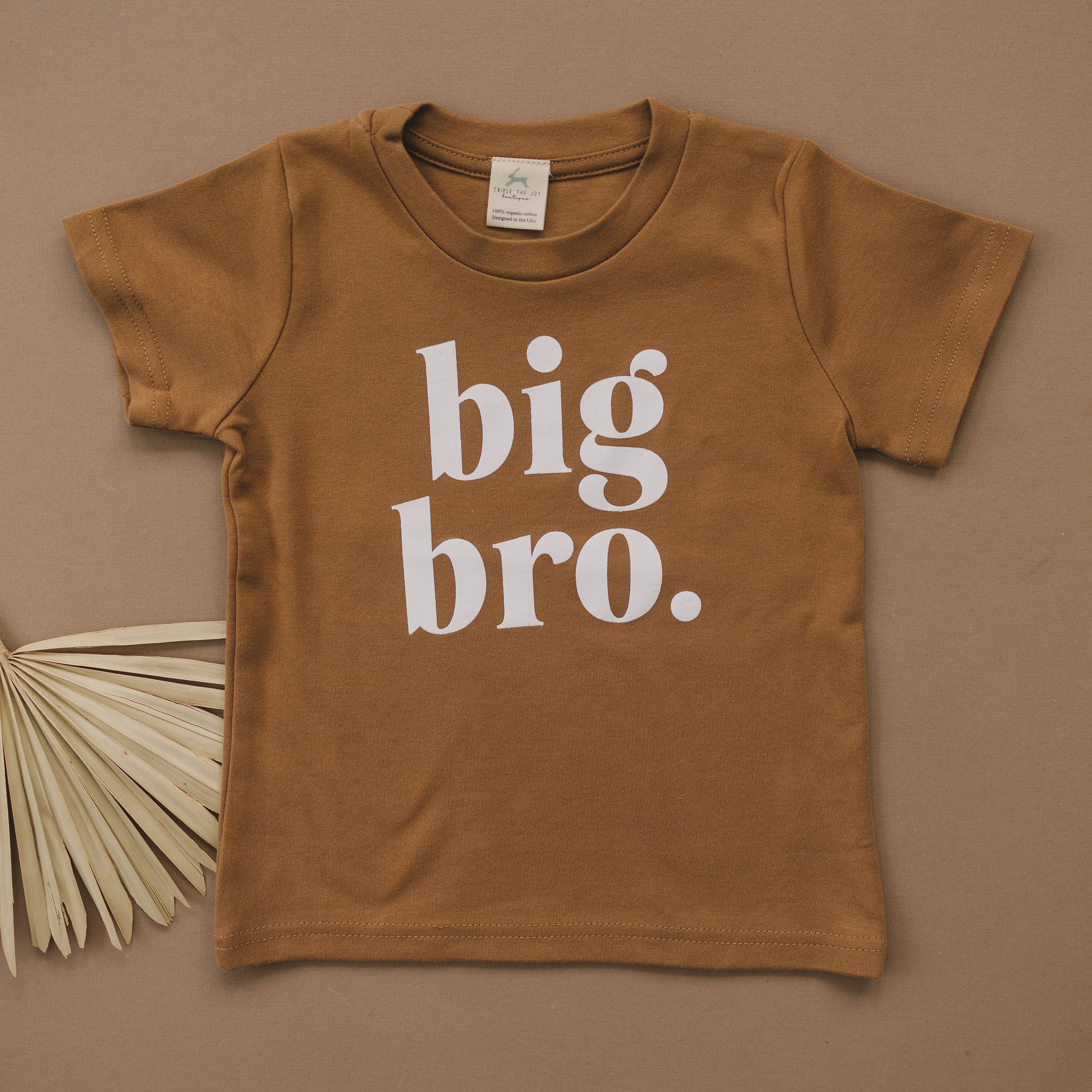 Big Bro Organic Cotton T-shirt - More Colors